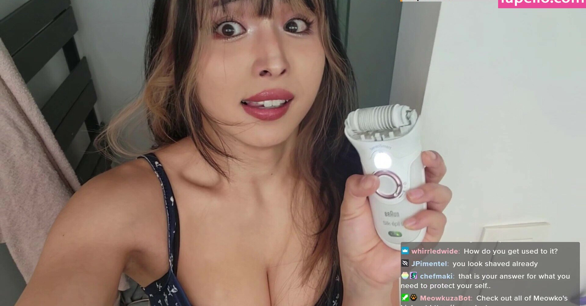 meowko gallery photo #1901