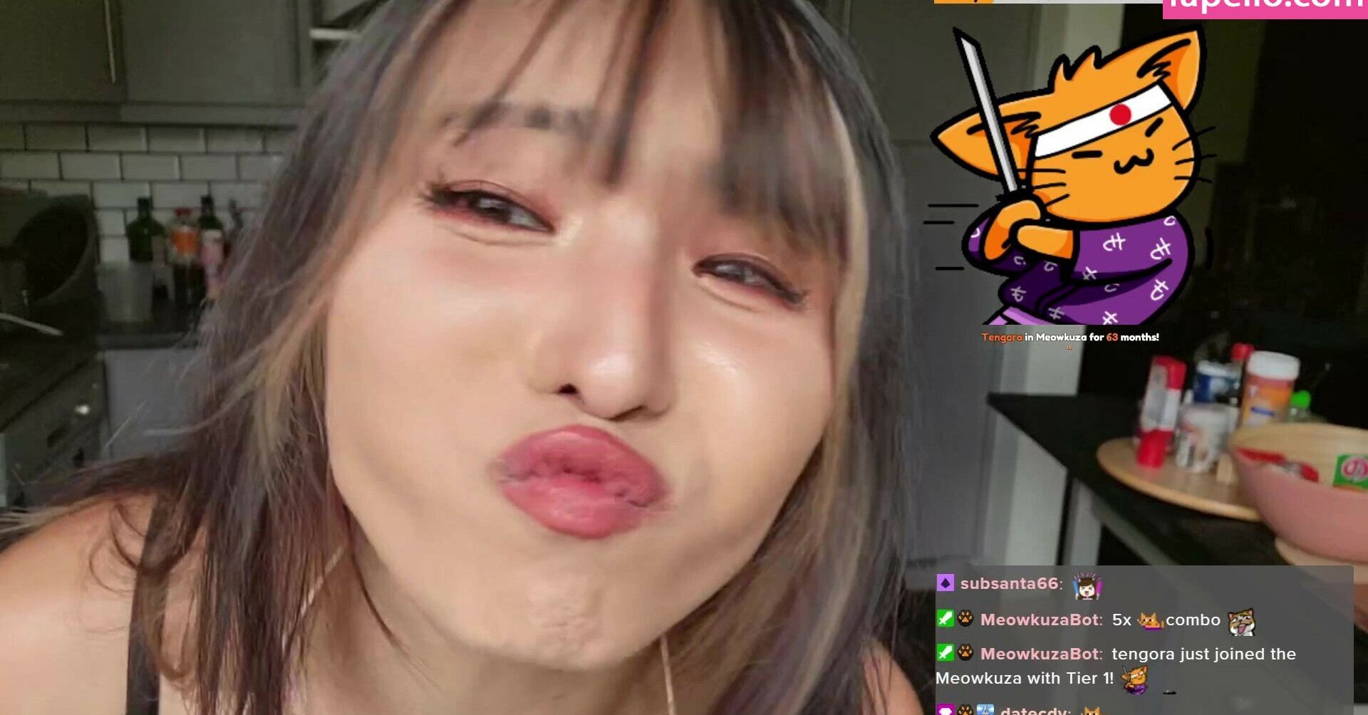 meowko gallery photo #1991