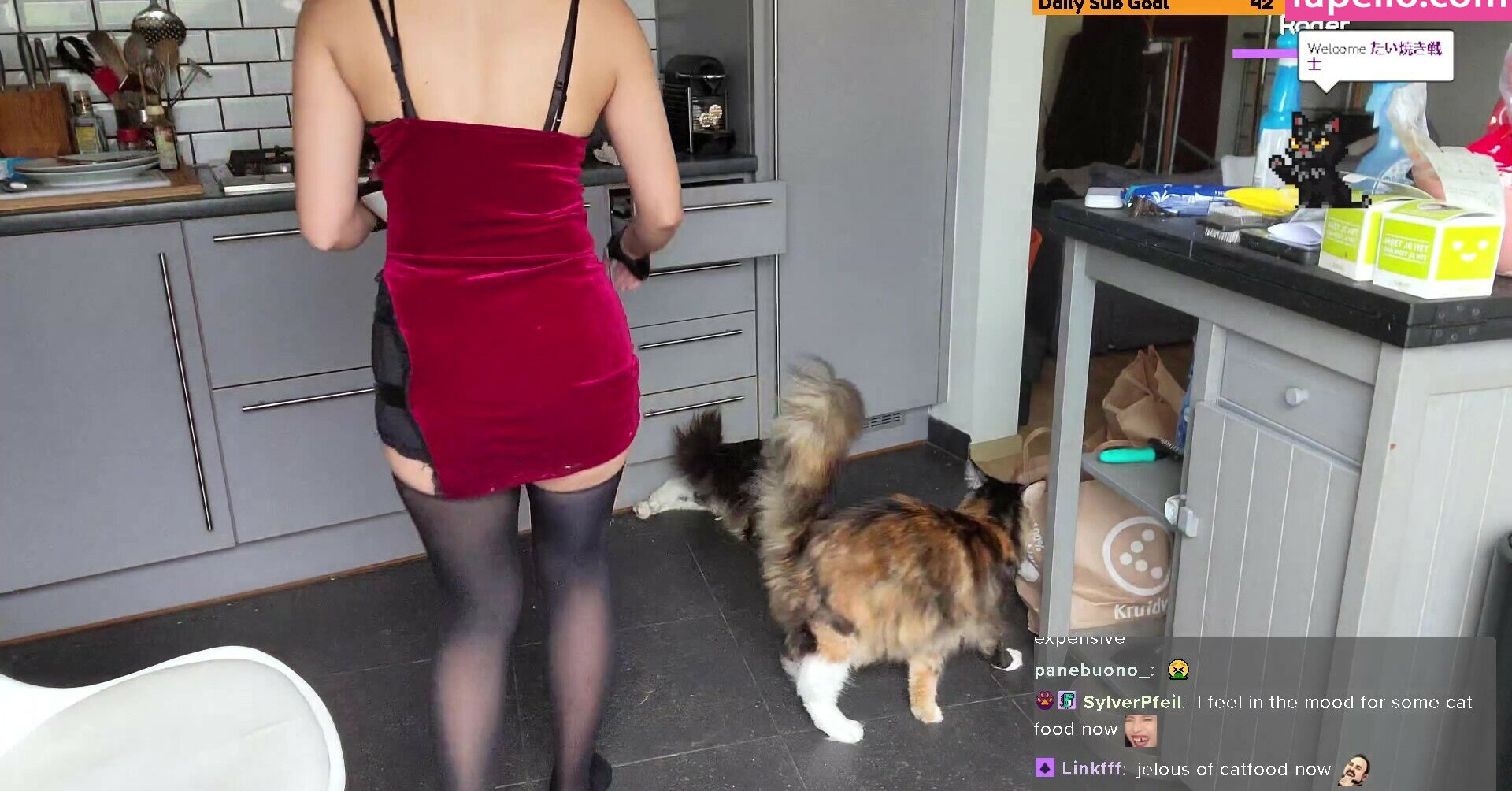 meowko gallery photo #2188