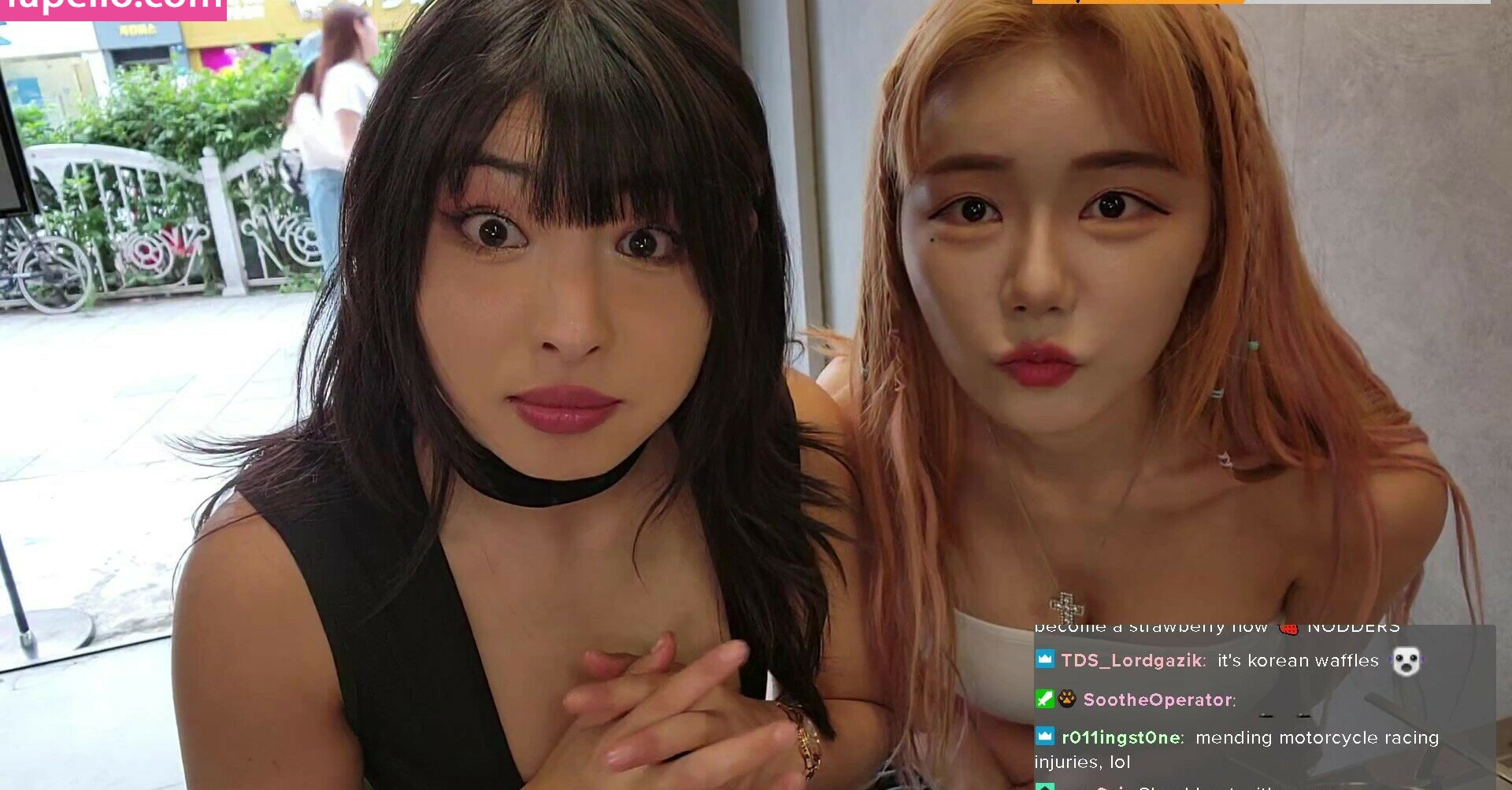 meowko gallery photo #2348