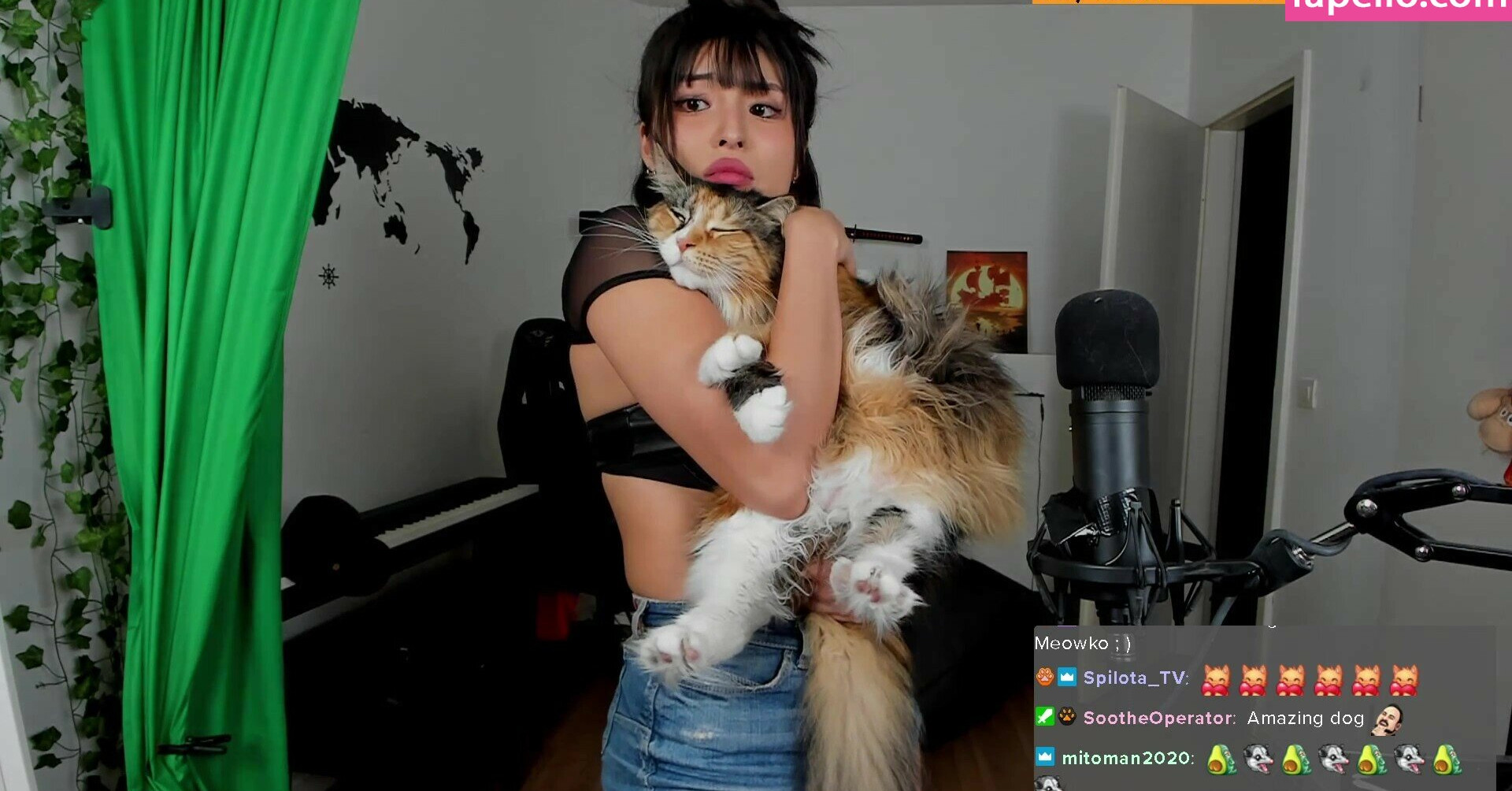 meowko gallery photo #2399