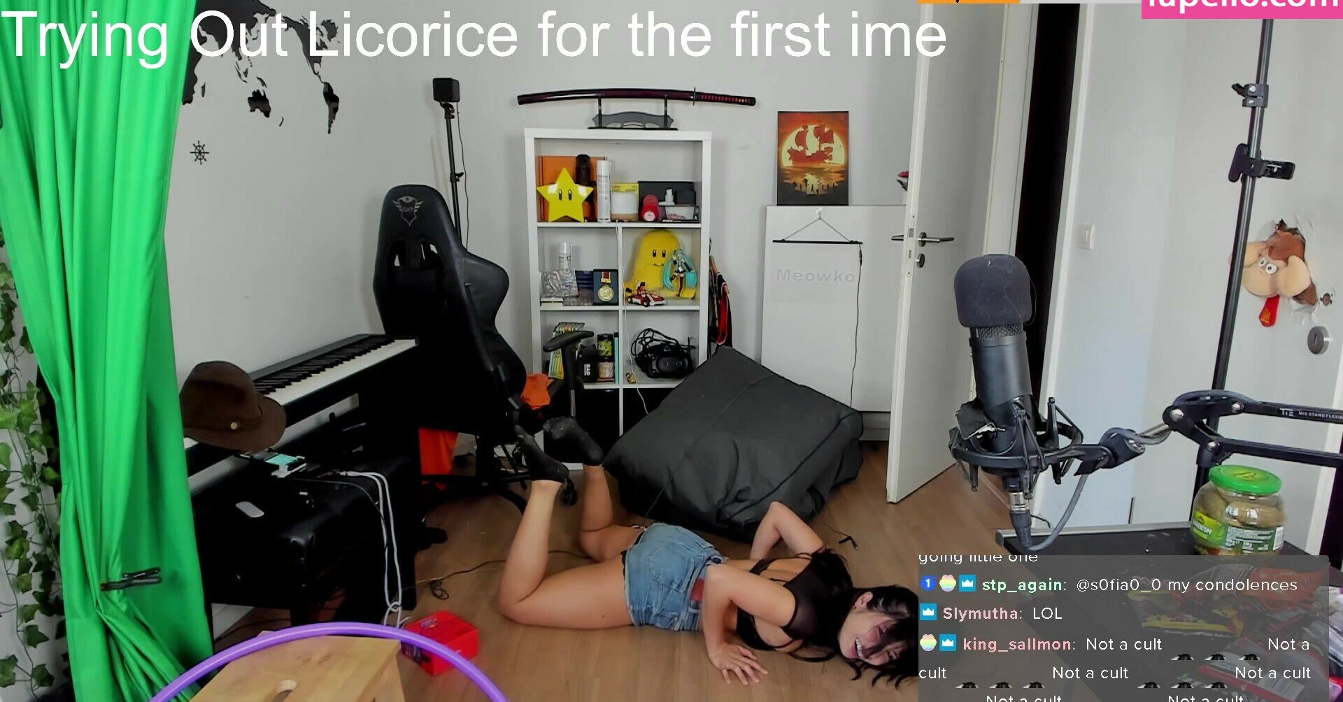 meowko gallery photo #2405