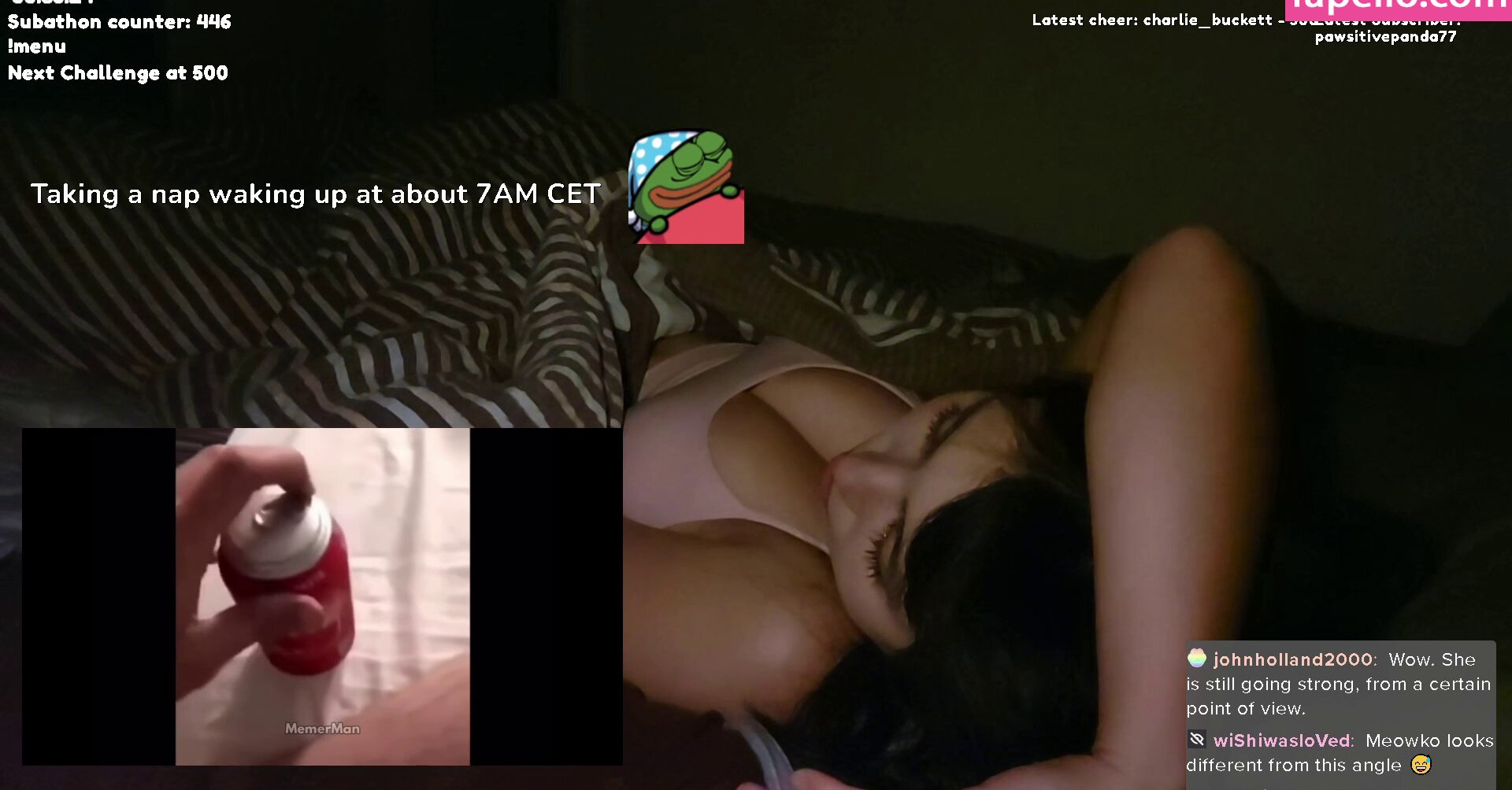 meowko gallery photo #2625