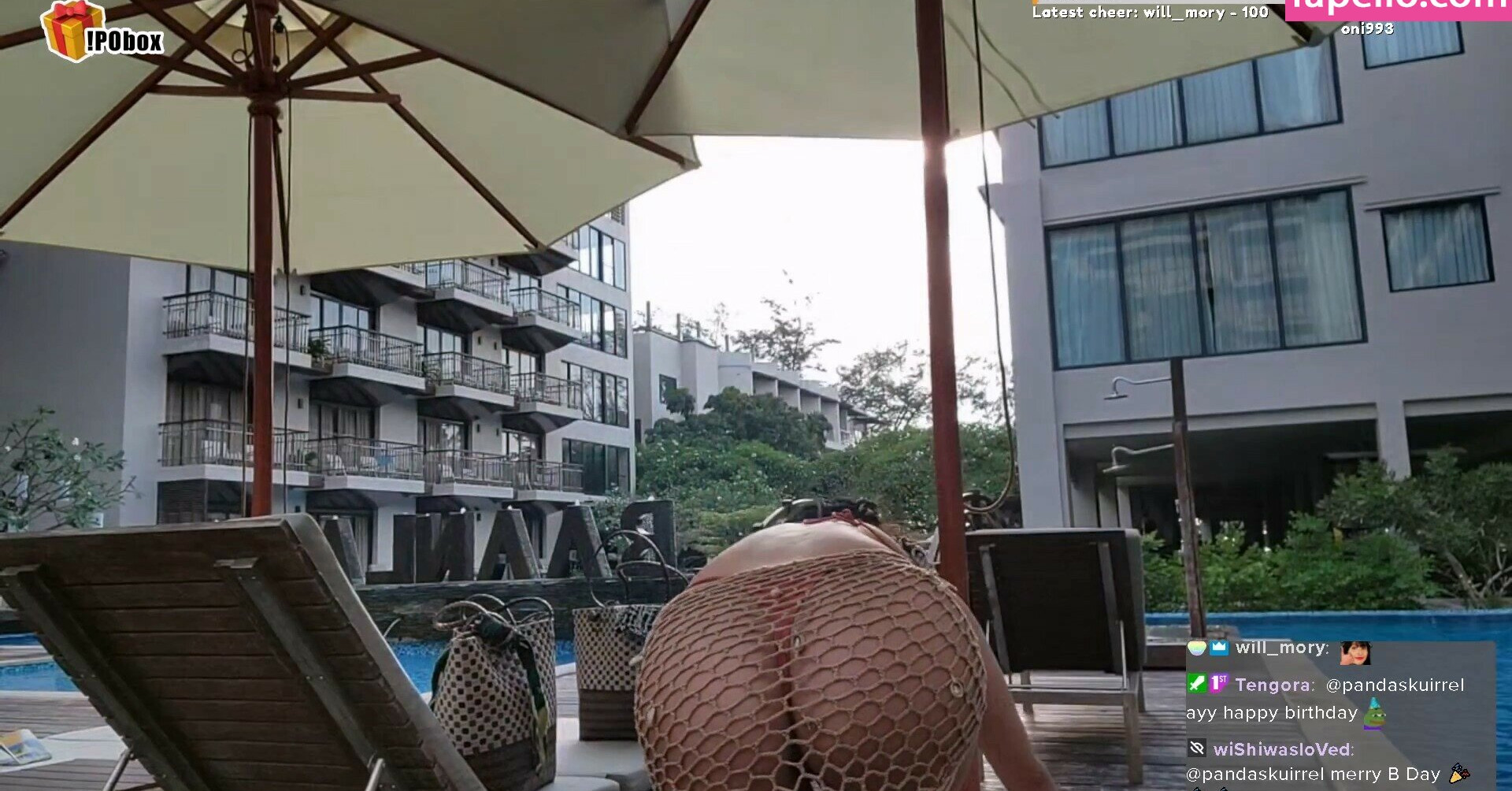 meowko gallery photo #2668