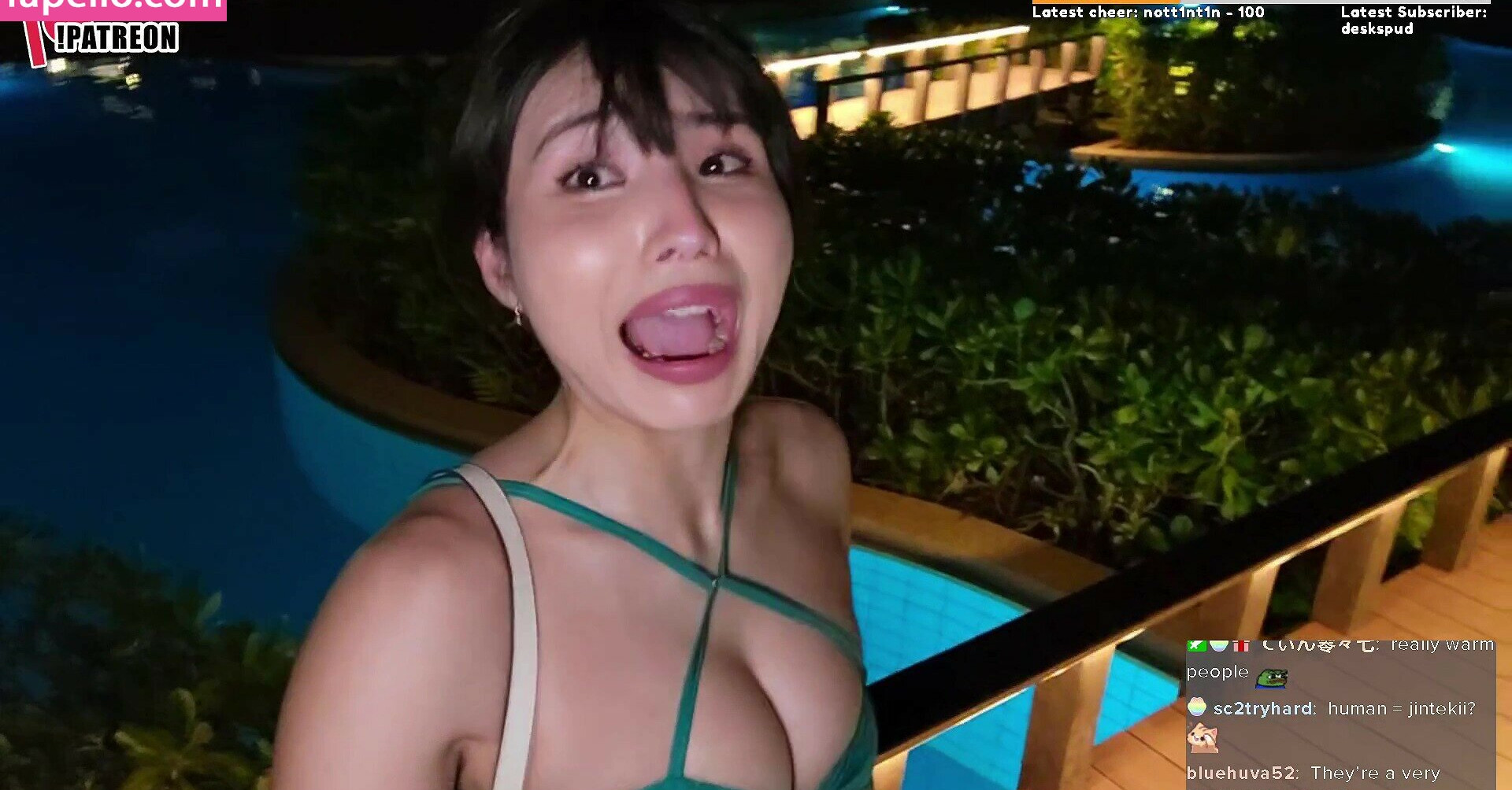 meowko gallery photo #2737