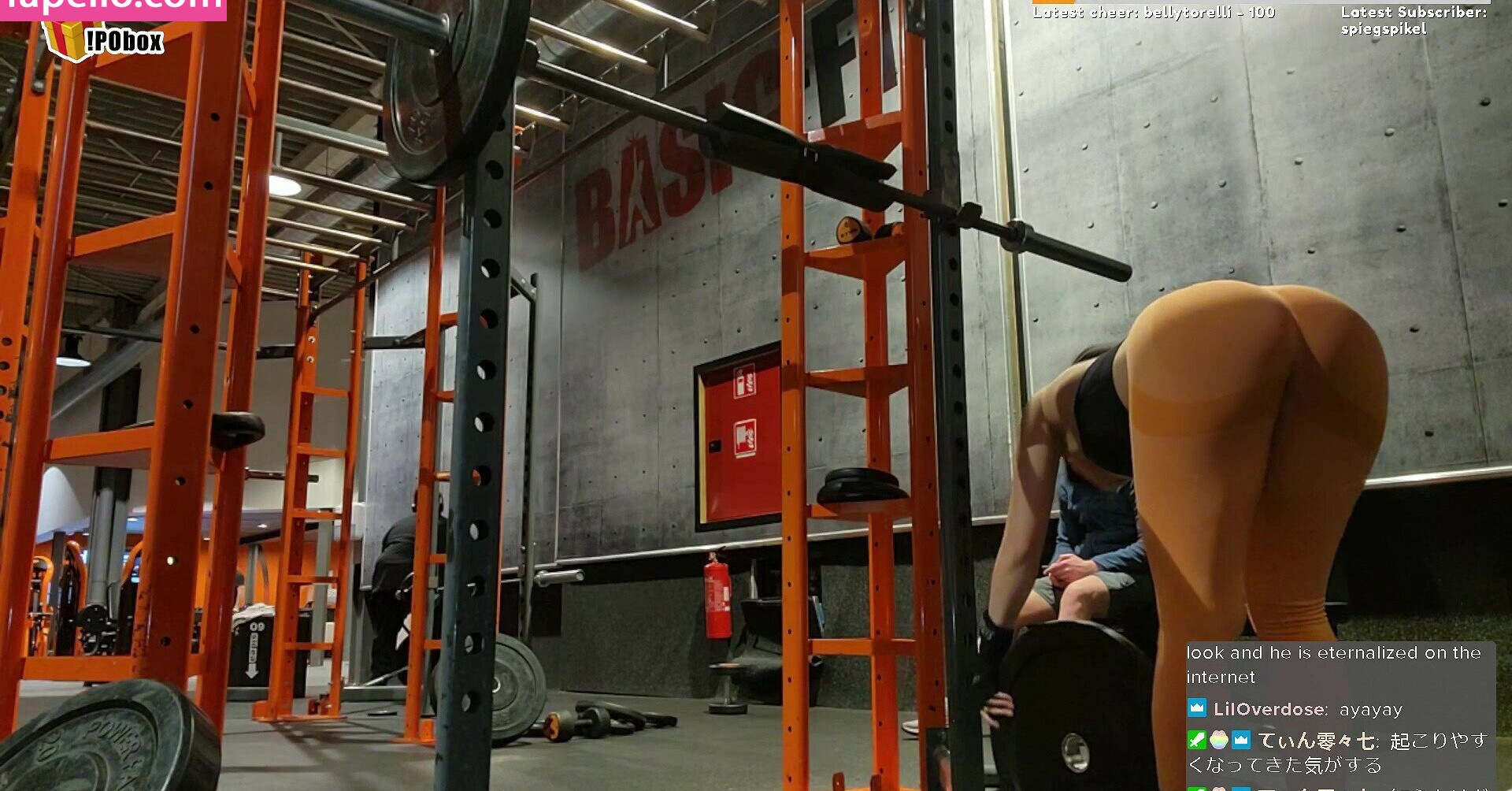 meowko gallery photo #2767