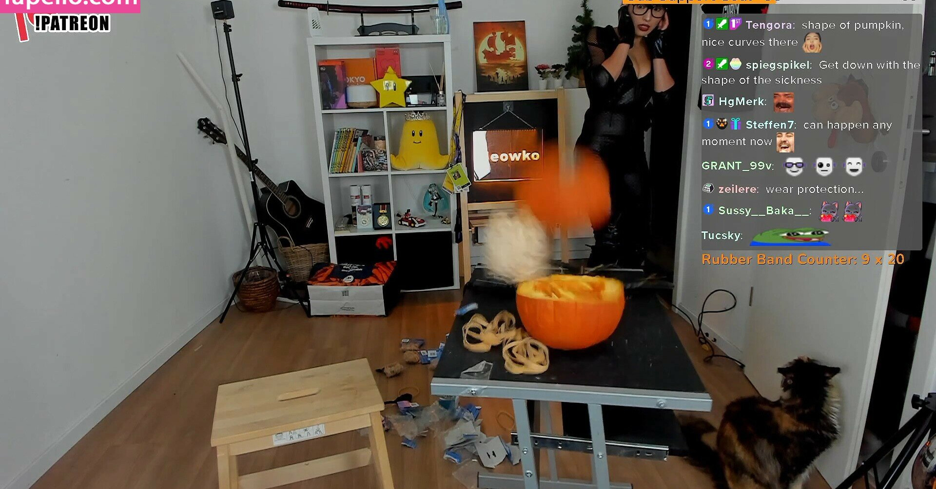 meowko gallery photo #3269