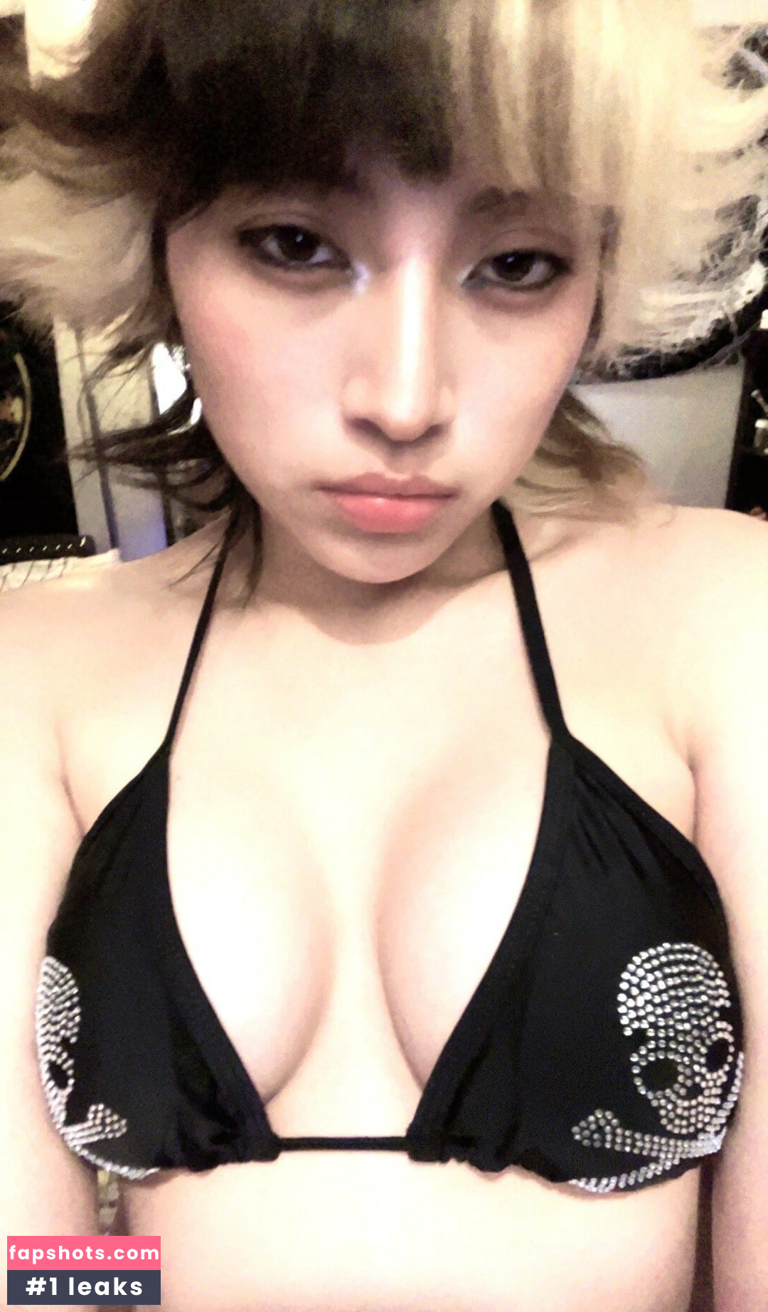 meowmasters gallery photo #6