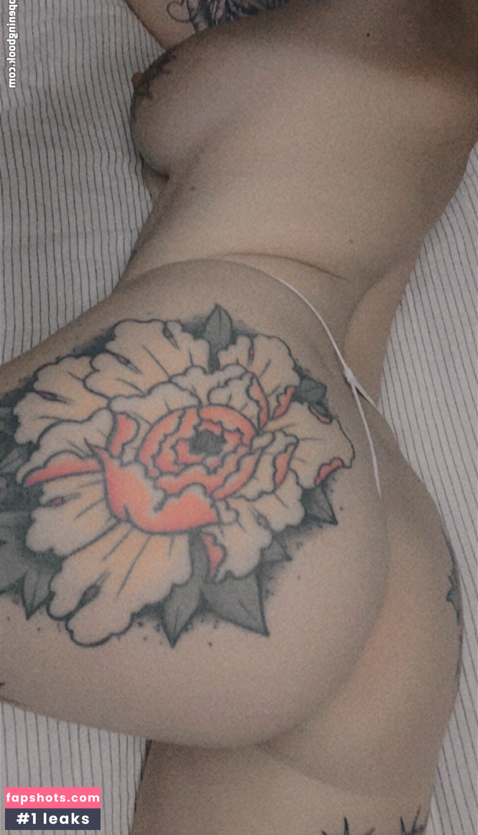 meowoliviameow gallery photo #8