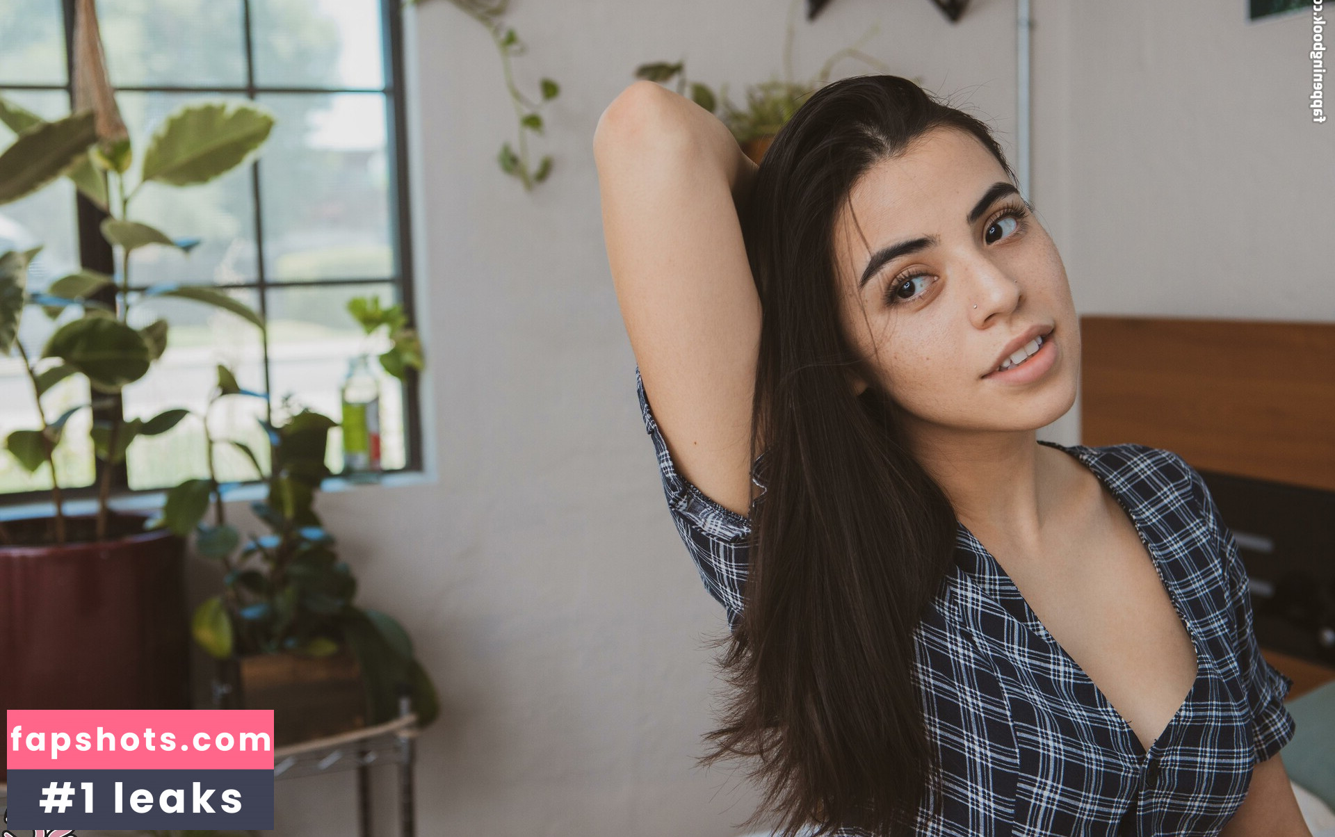 Mercurymei gallery photo #8