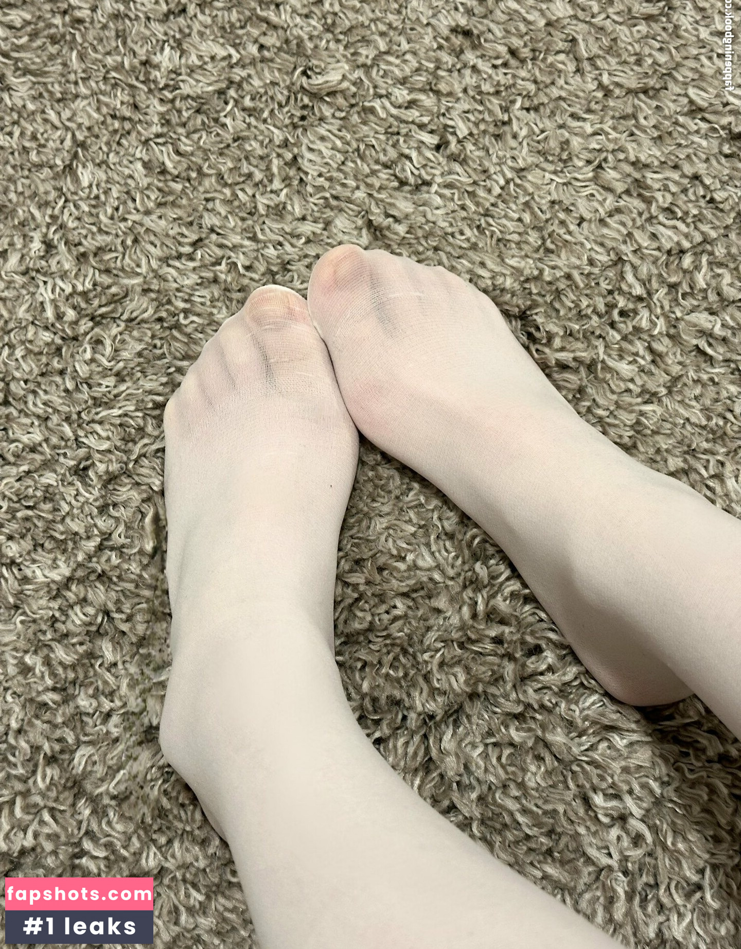 Mersweb gallery photo #27