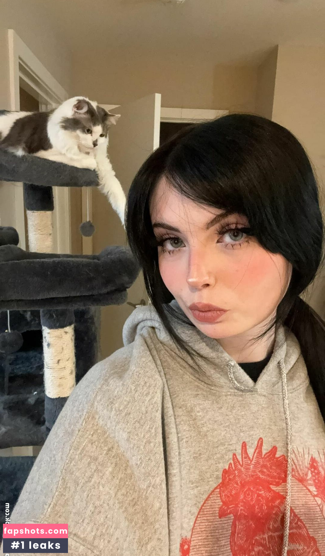 Mewstic Nacktheit OnlyFans Fotos #67 - Fapshots