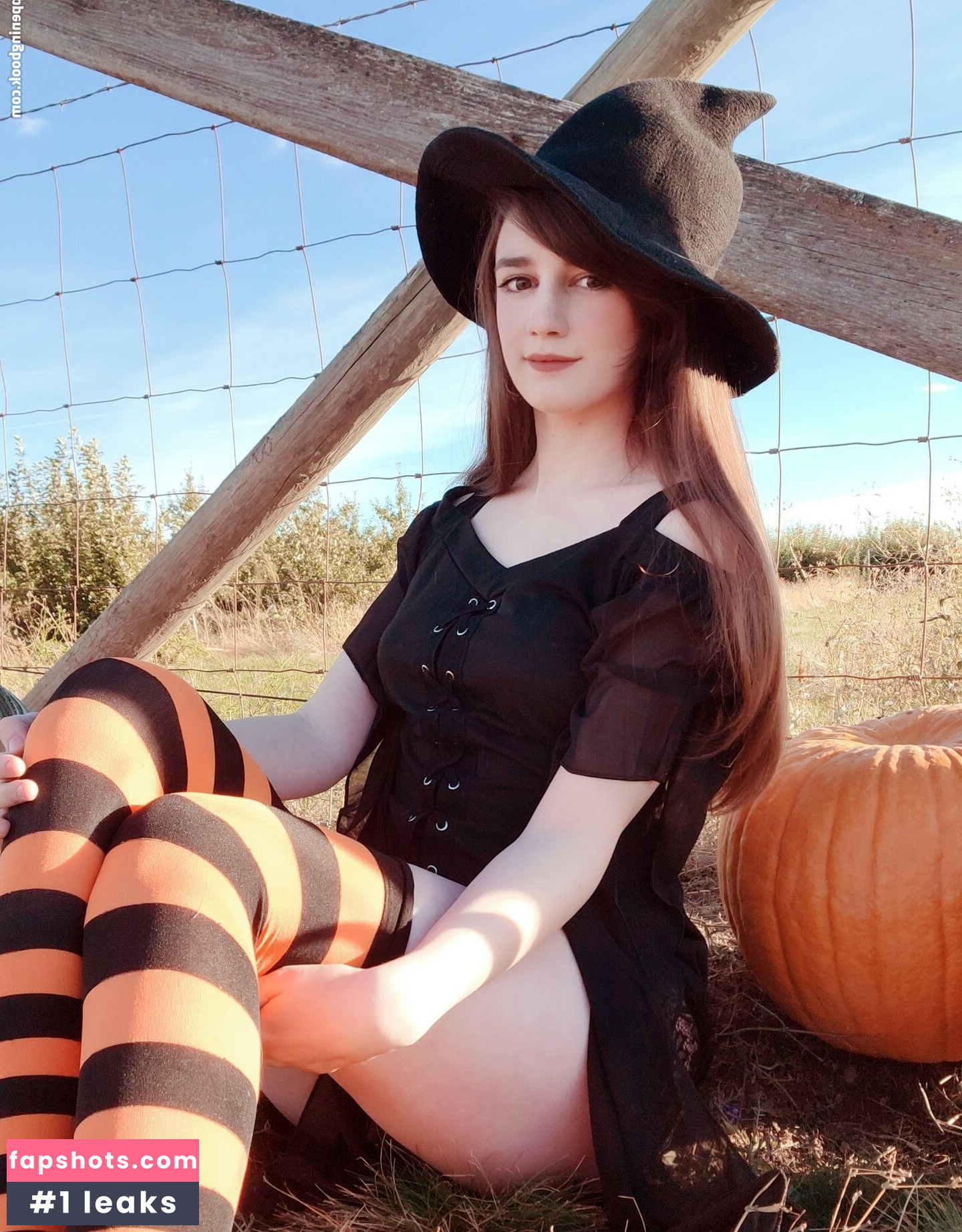 MFC_Kitty gallery photo #21