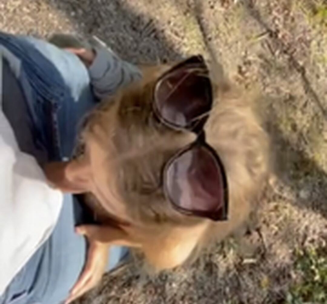 mia-melano Nude Leaks OnlyFans Photos #348 - LeakJerk