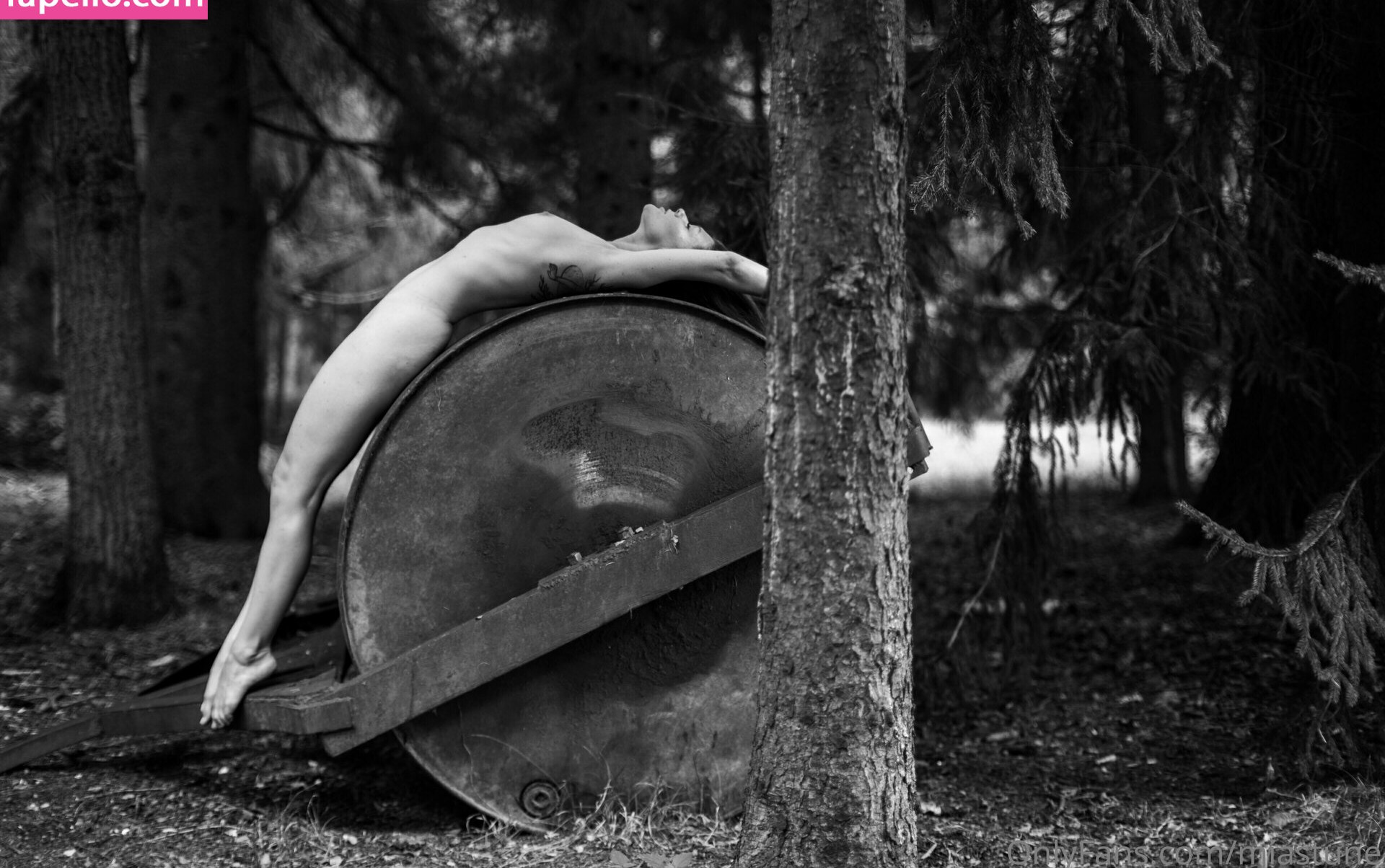 mia-sollis gallery photo #449