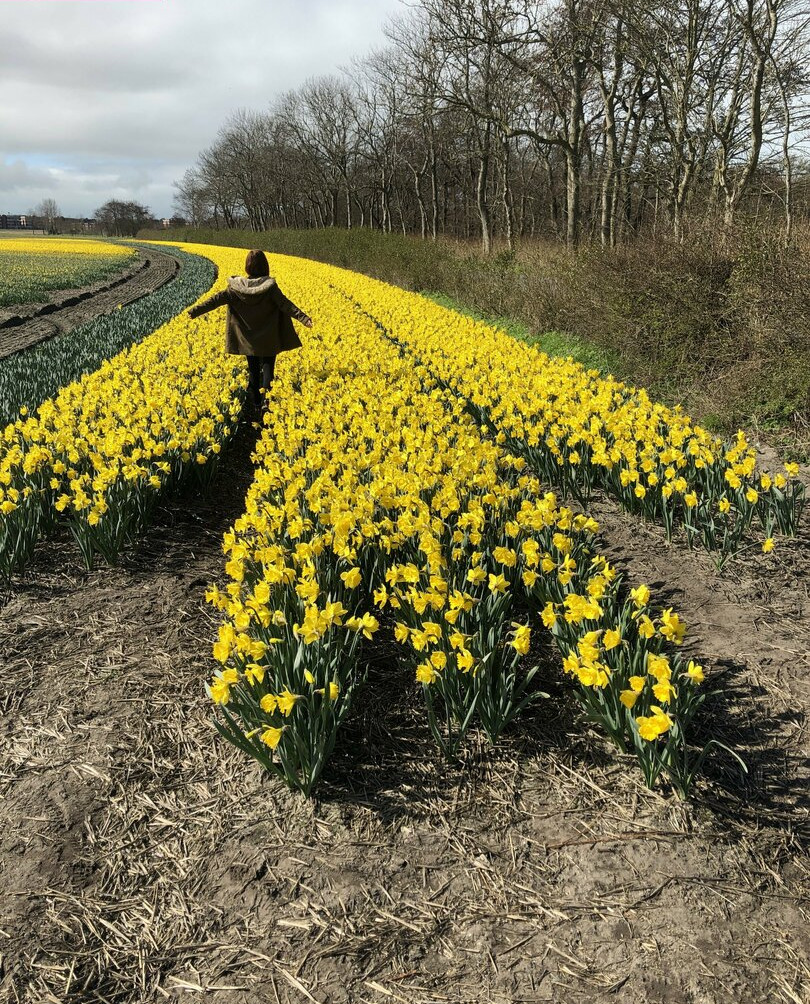 mia-sollis gallery photo #454