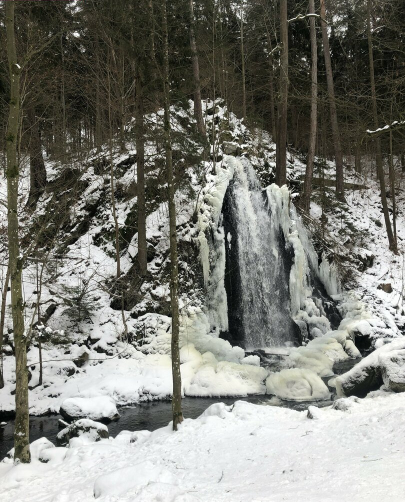 mia-sollis gallery photo #455