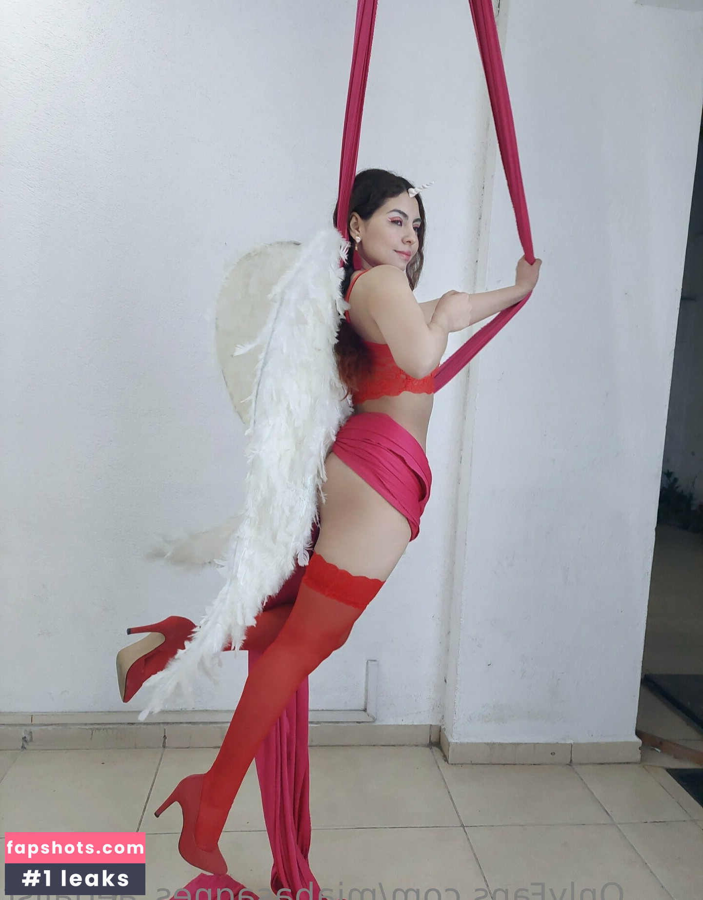 miabasagnes_aerialist gallery photo #17