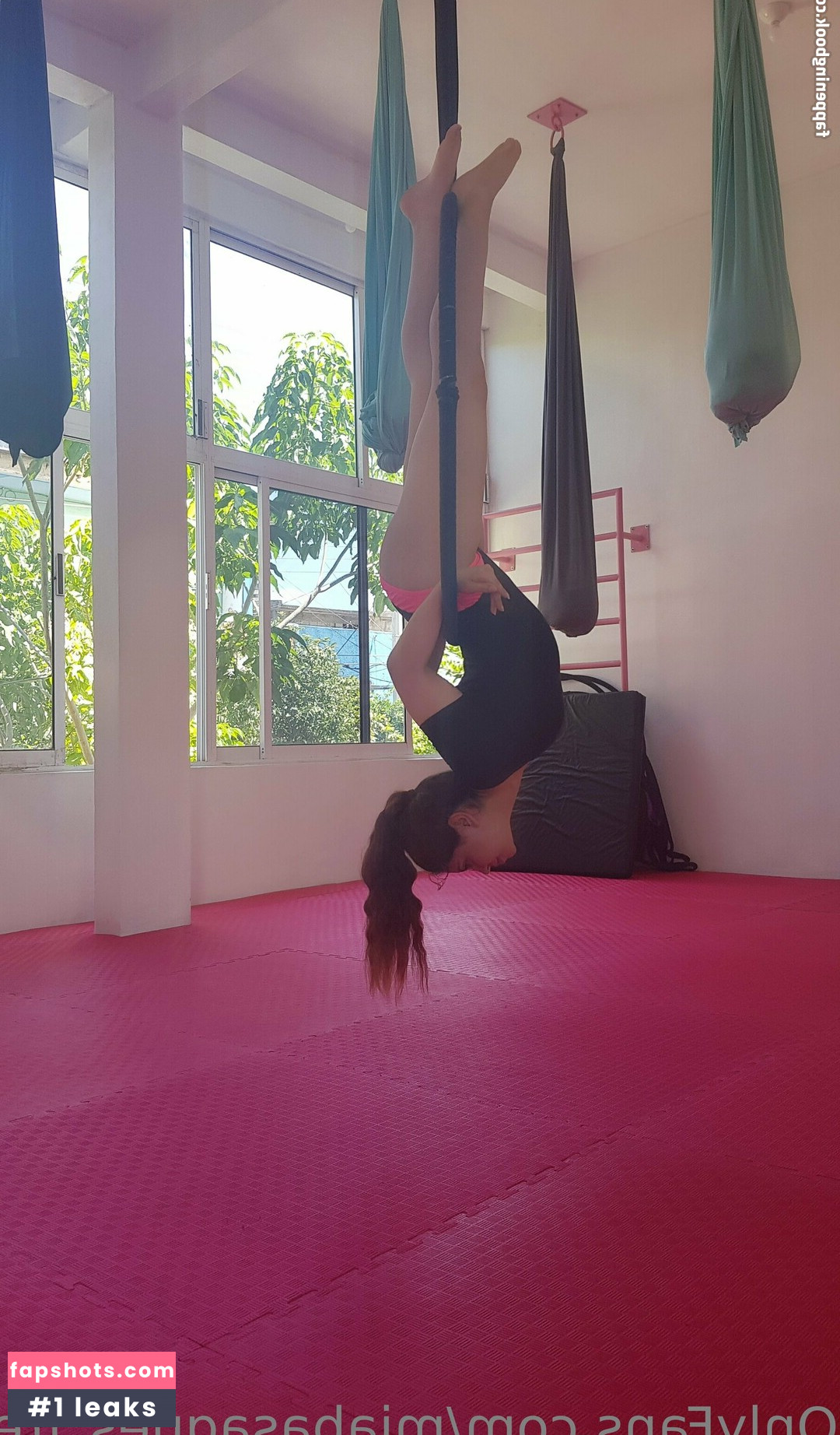 miabasagnes_aerialist gallery photo #9