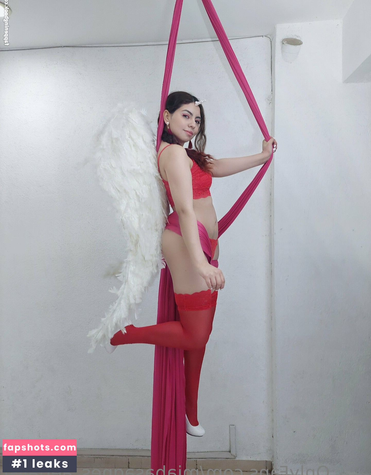 miabasagnes_aerialist gallery photo #10