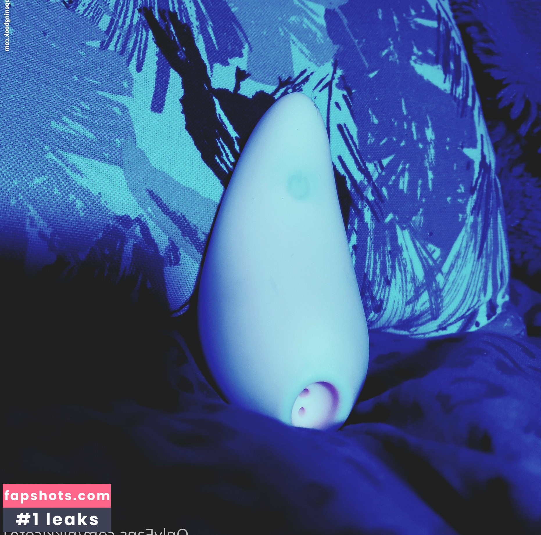 miacote gallery photo #3