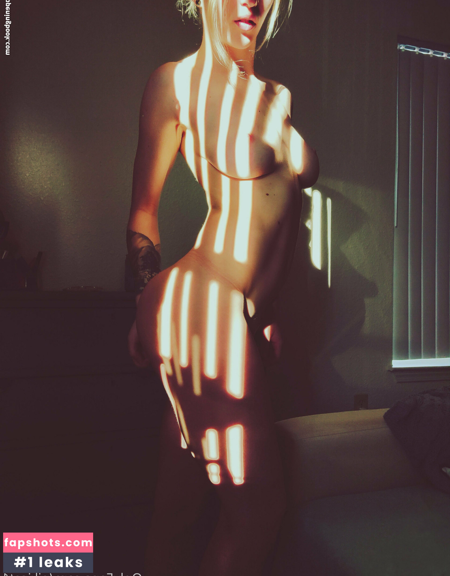 miacote gallery photo #26