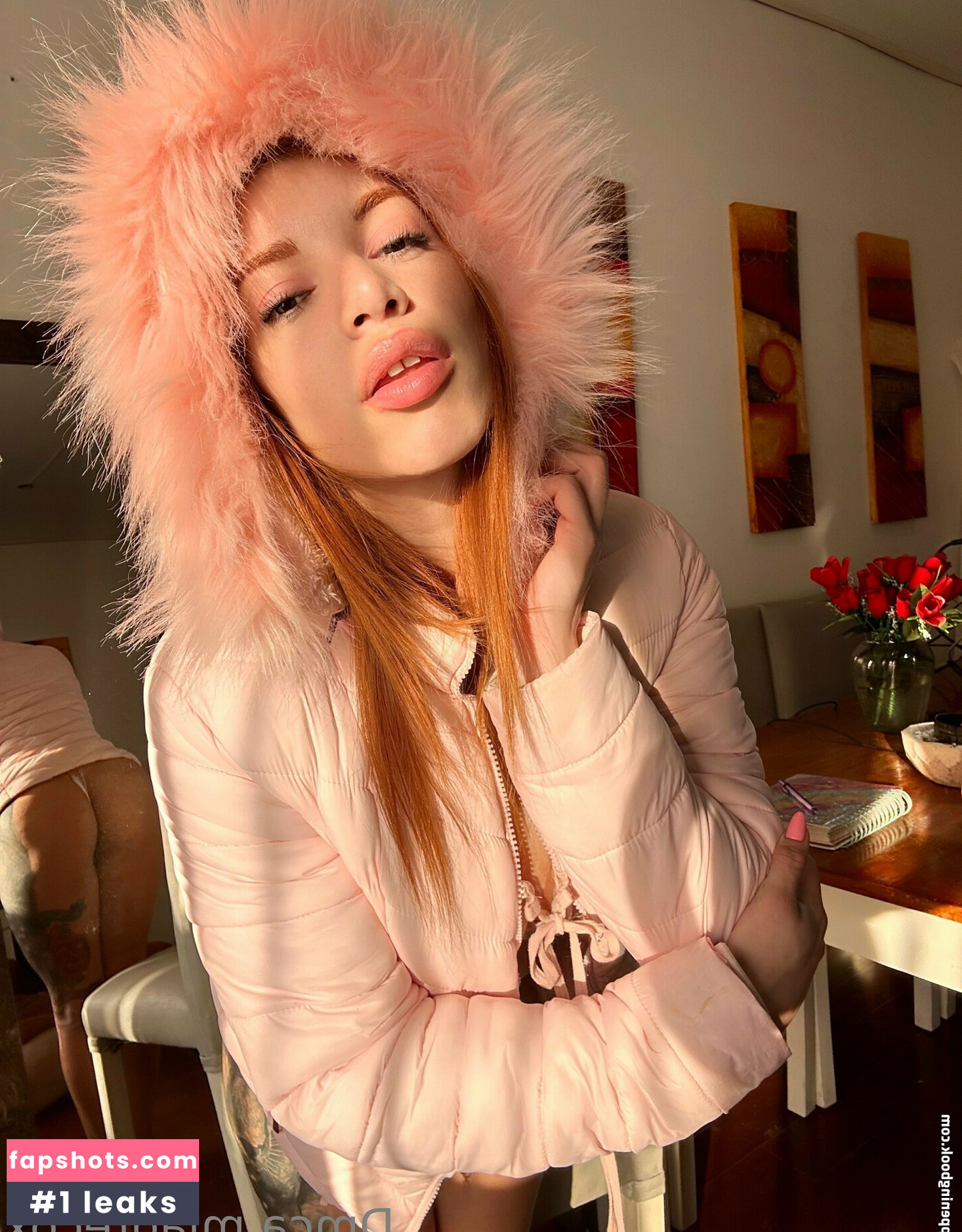 Miagrecox gallery photo #32