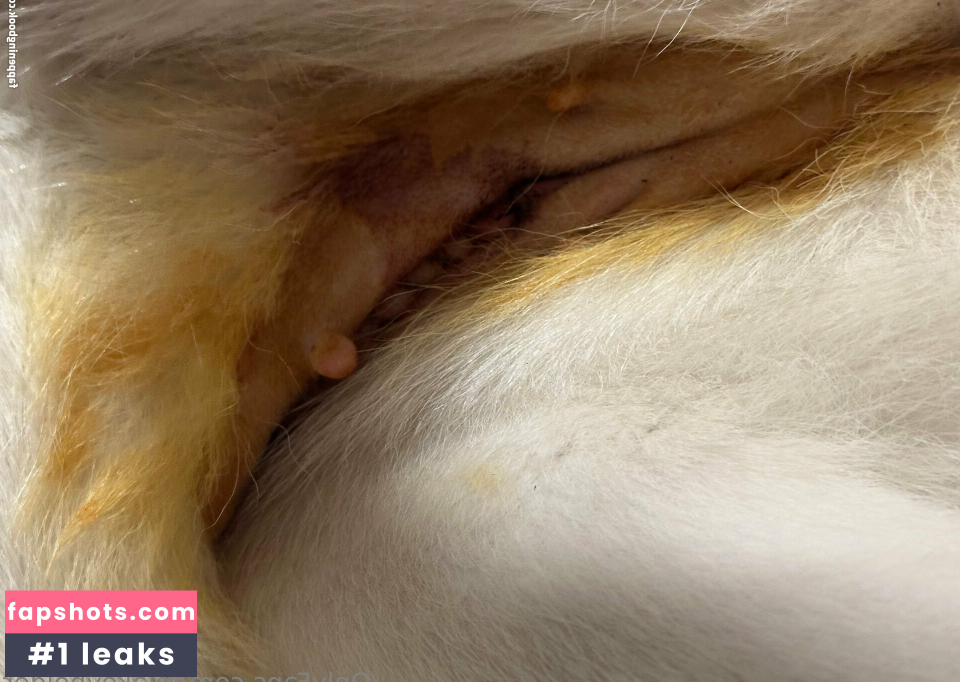 miakeyholder gallery photo #34