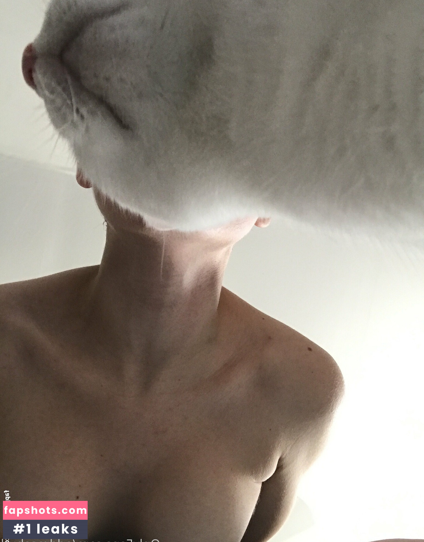 miaxcosta gallery photo #47