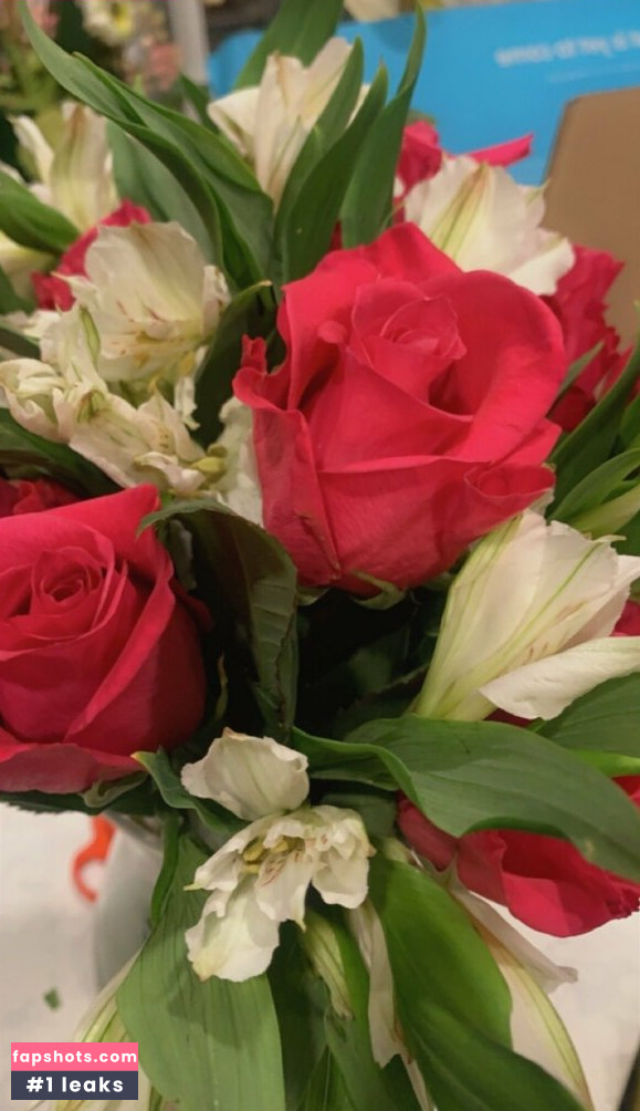 miaxo_xoxo Nacktheit OnlyFans Fotos #708 - Fapshots