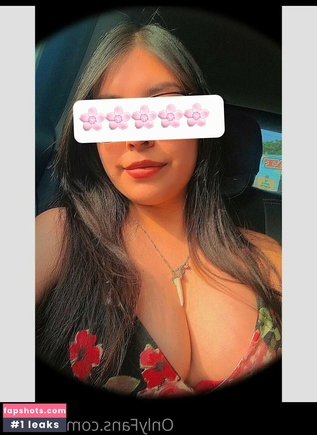 mich.of gallery photo #6