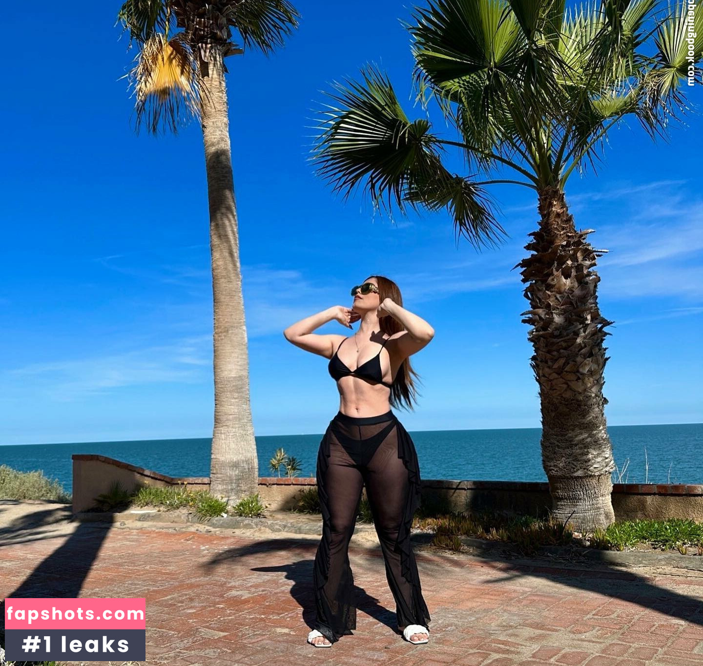 Michel Sánchez gallery photo #10