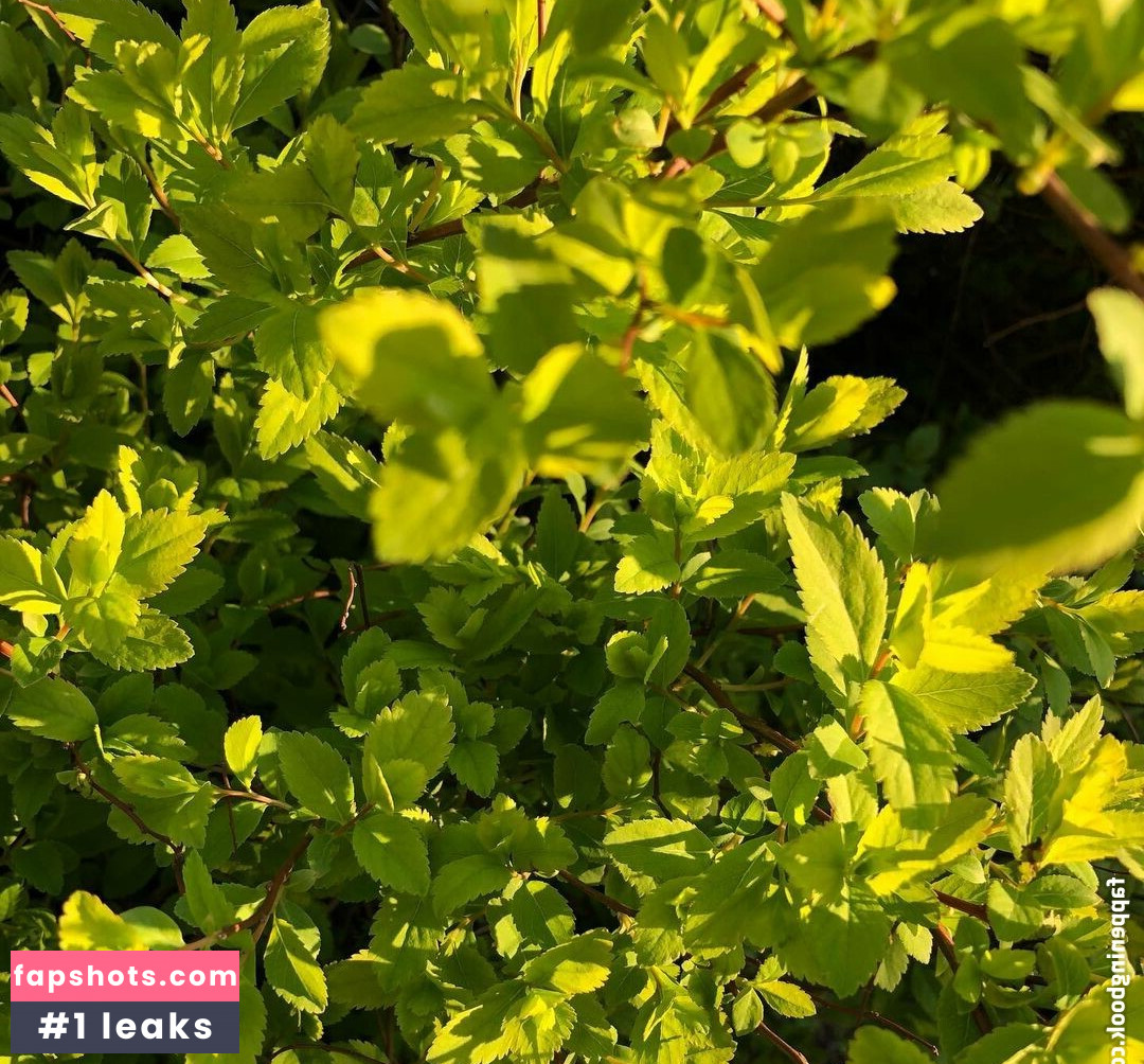 Michi Kyunn Nacktheit OnlyFans Fotos #252 - Fapshots