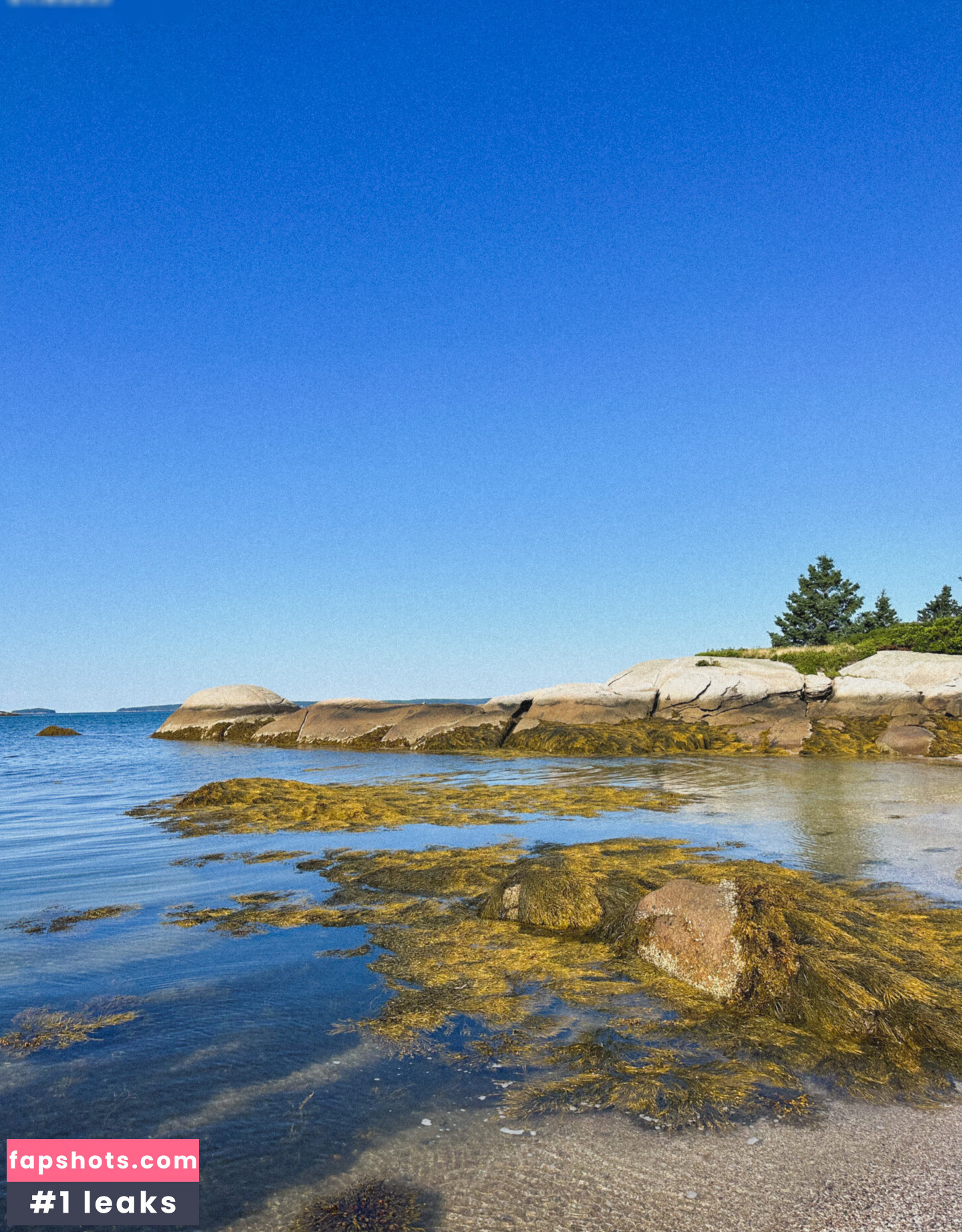 mickey gallery photo #3