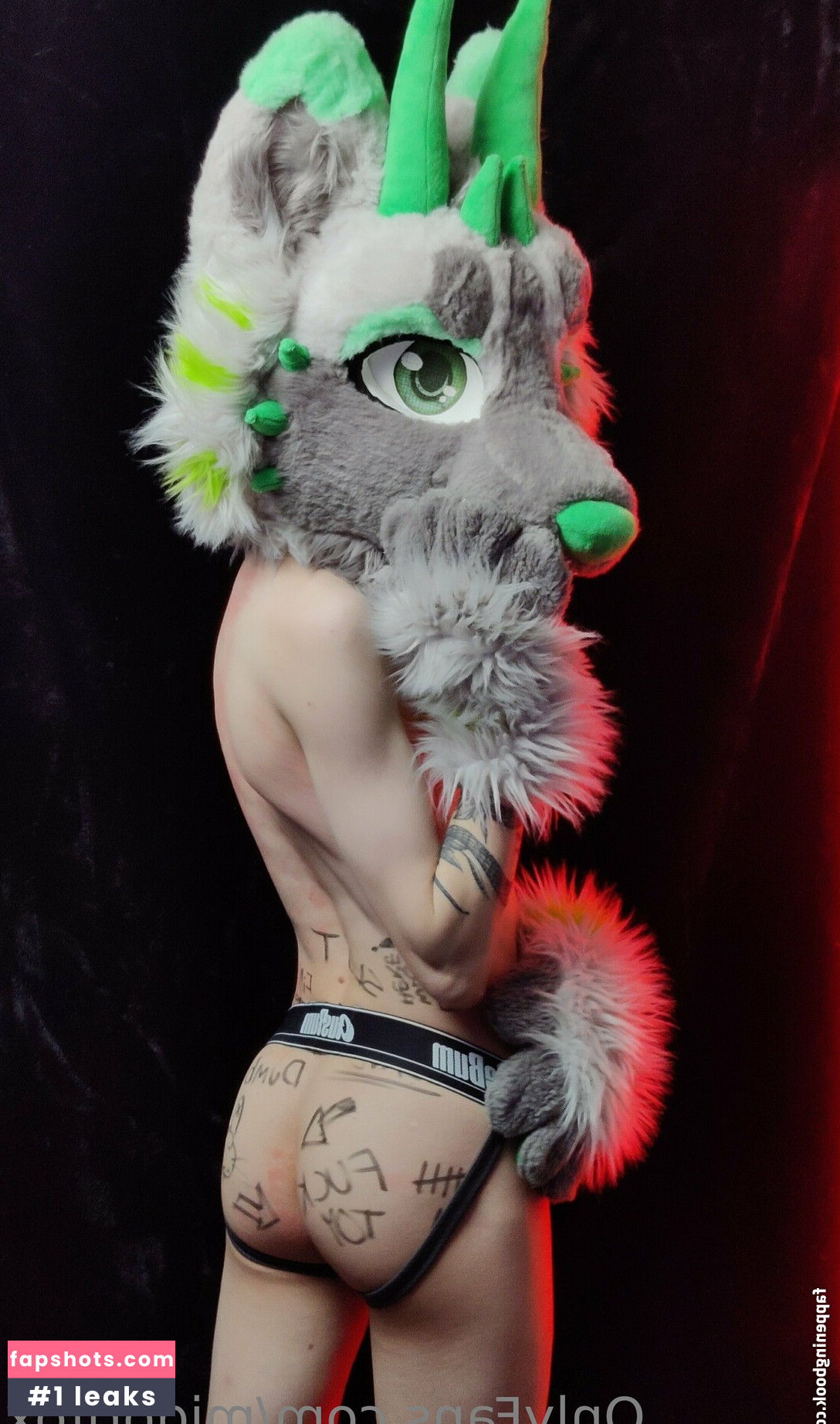 midorifox Nude Leaks OnlyFans Photos #2 - LeakJerk