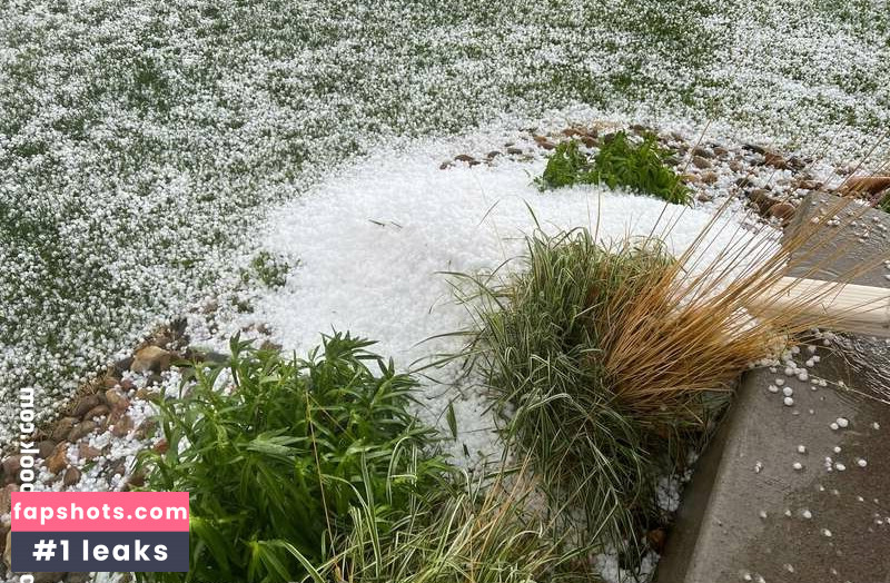 Midwest Mom gallery photo #3