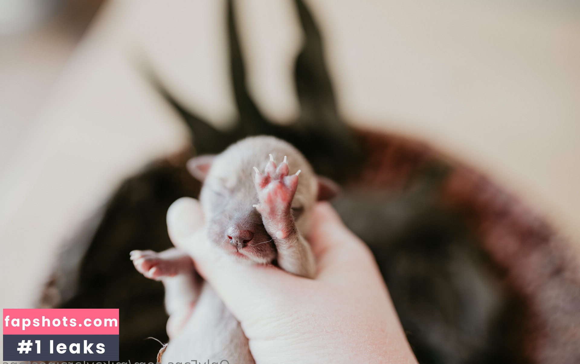 mikaylarainesfans gallery photo #16