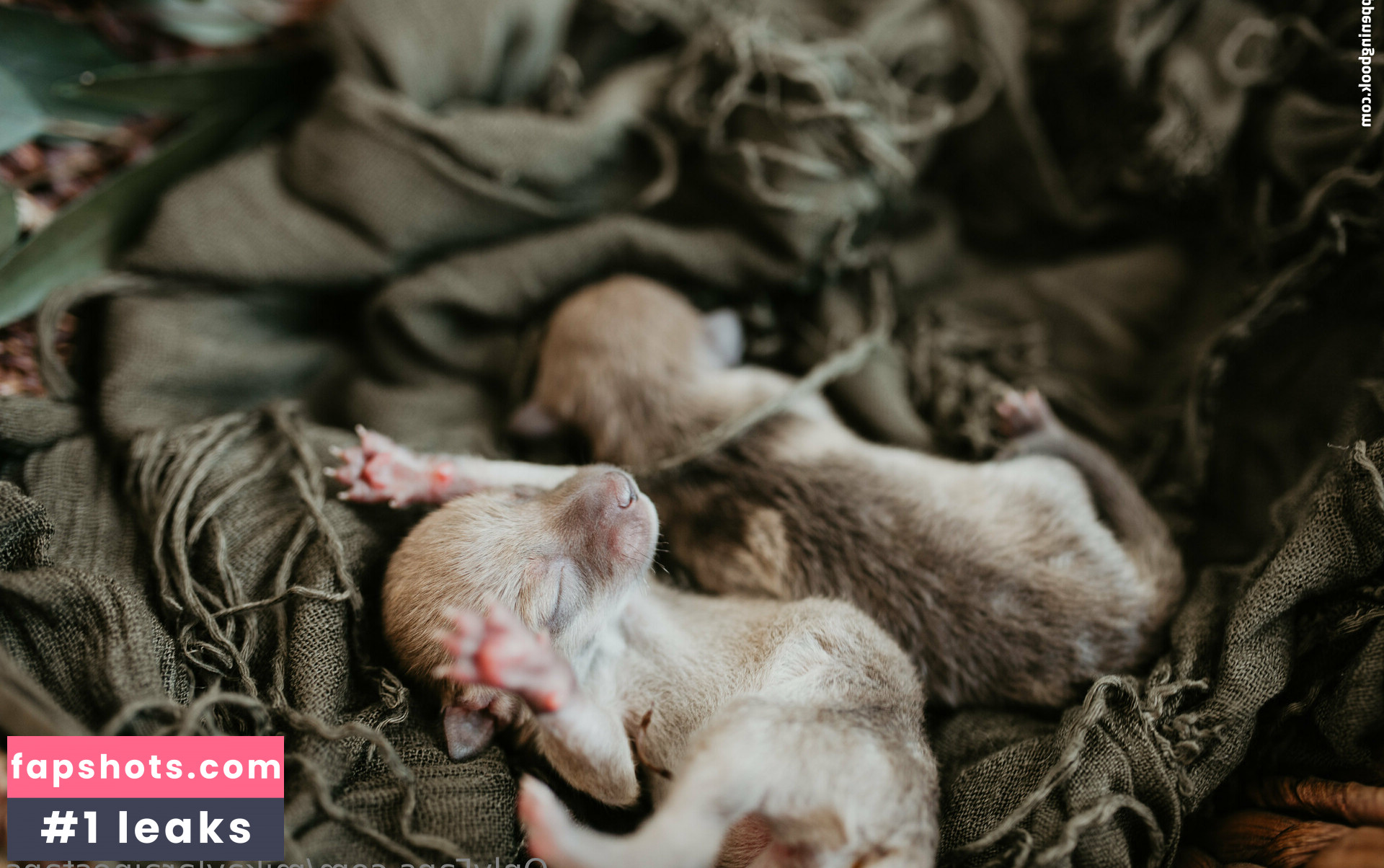 mikaylarainesfans gallery photo #3