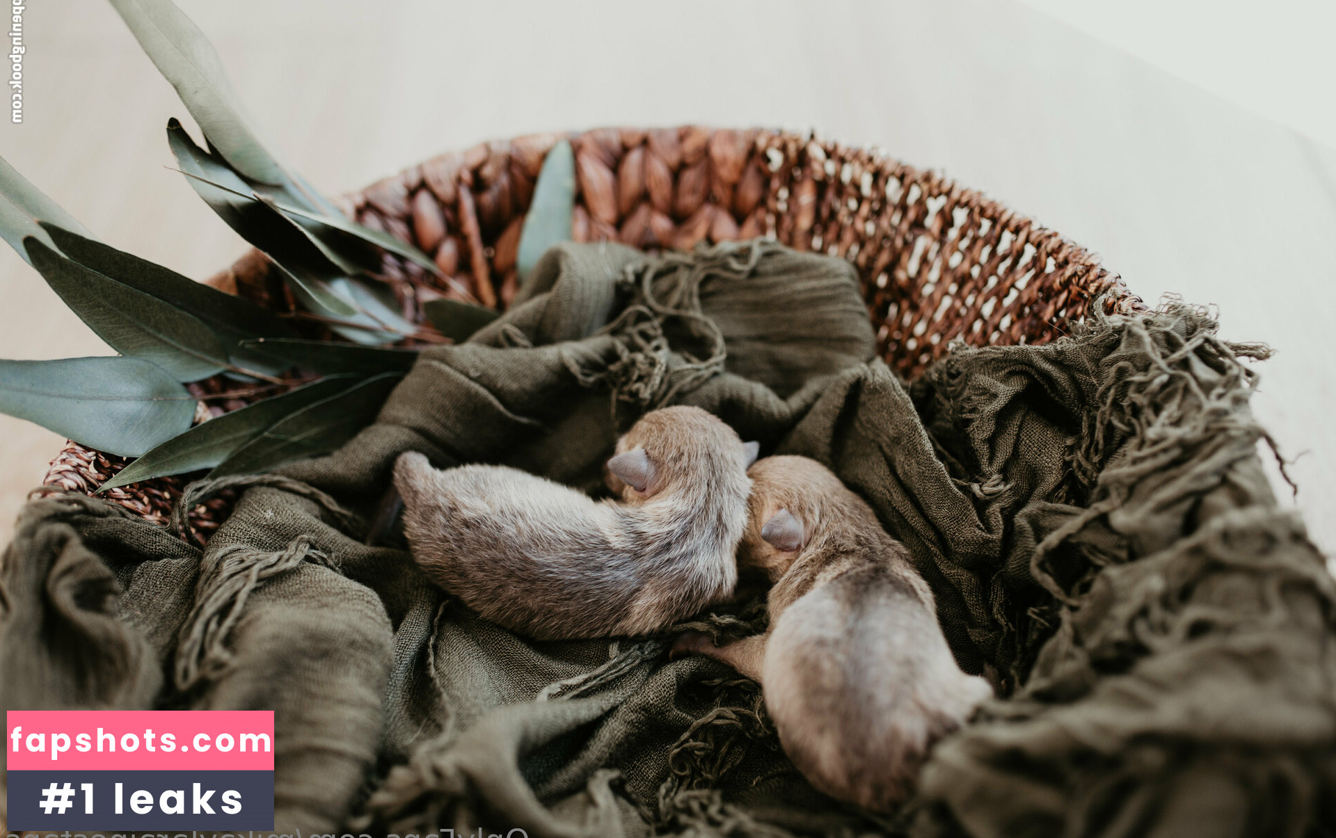 mikaylarainesfans gallery photo #21