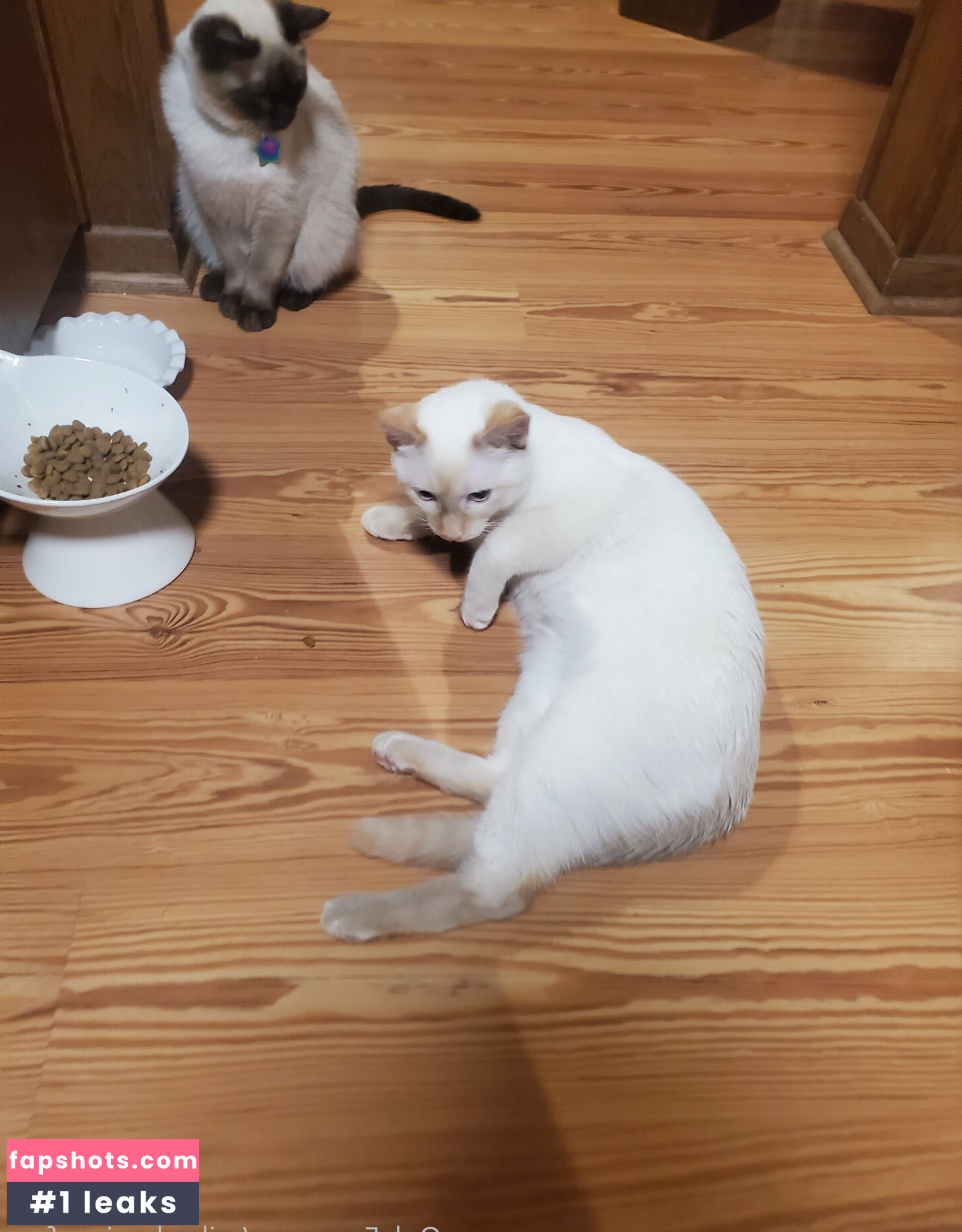 mikaylarainesfans gallery photo #32