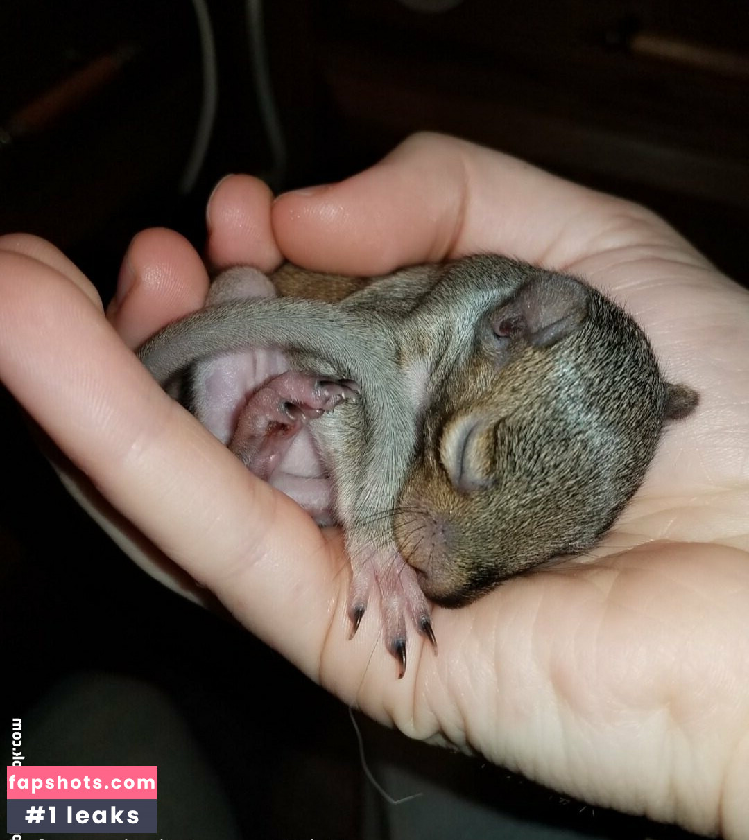 mikaylarainesfans gallery photo #36