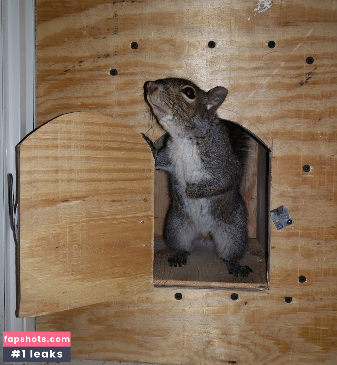 mikaylarainesfans gallery photo #38