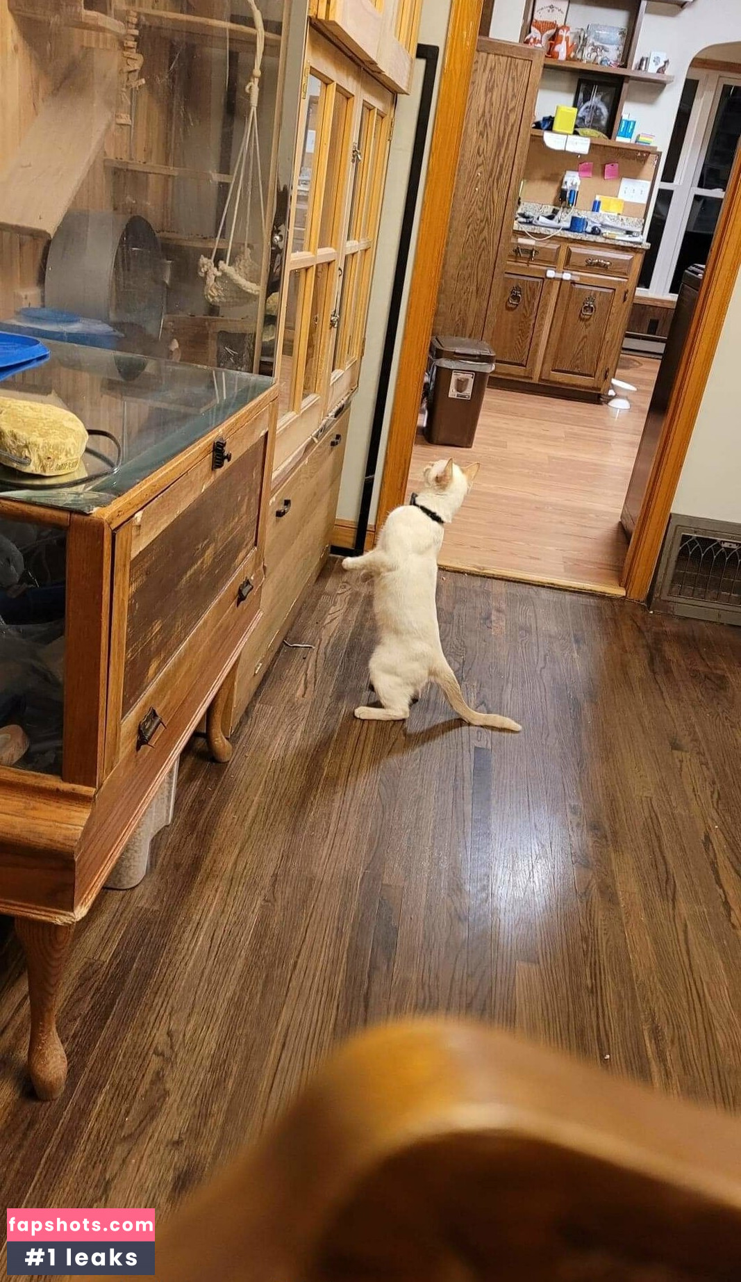 mikaylarainesfans gallery photo #40