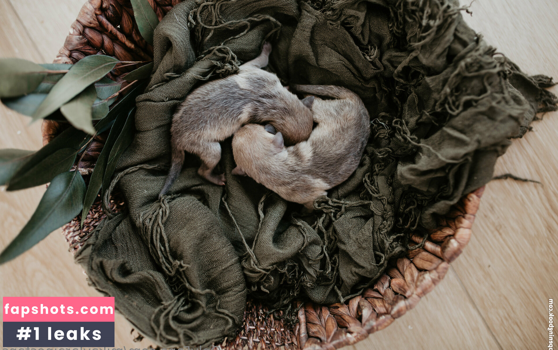 mikaylarainesfans gallery photo #7