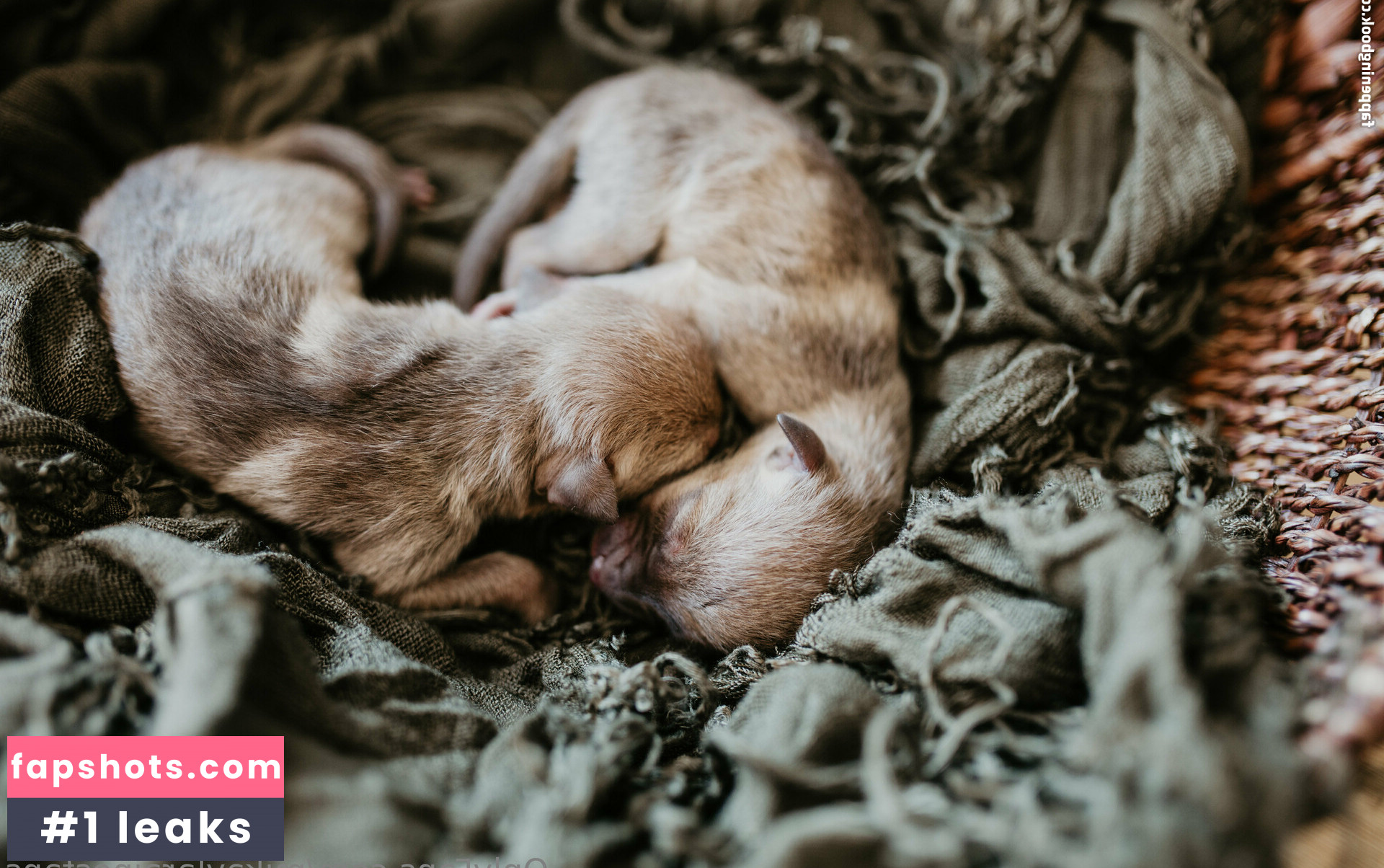 mikaylarainesfans gallery photo #8