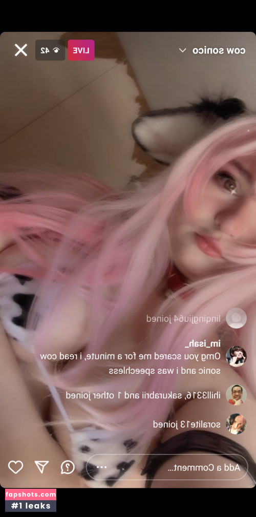 Mikumiku gallery photo #564