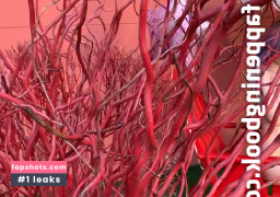 Mila Azul gallery photo #355