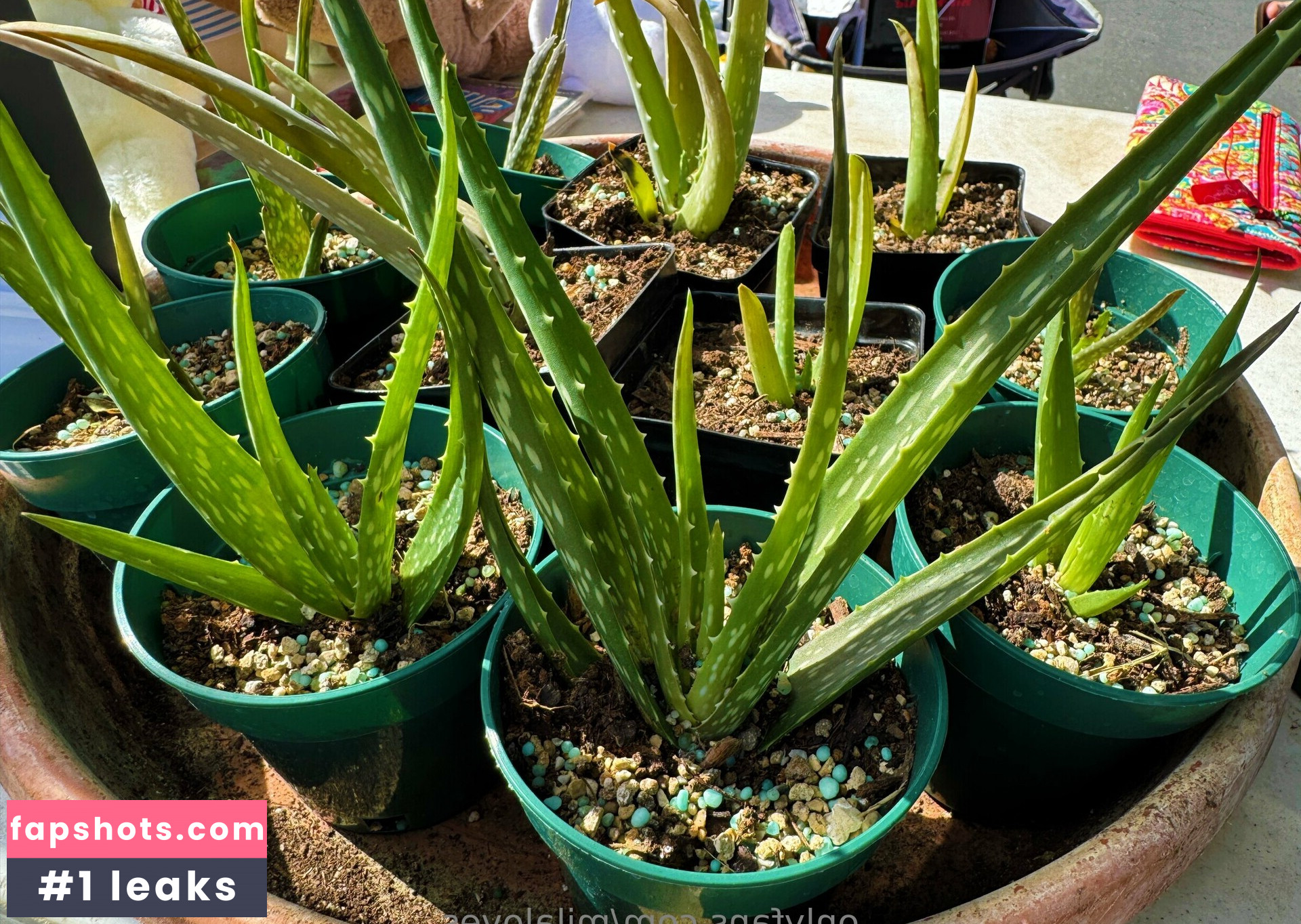 milaloves Filtración Desnuda OnlyFans Foto #13 - Fapshots