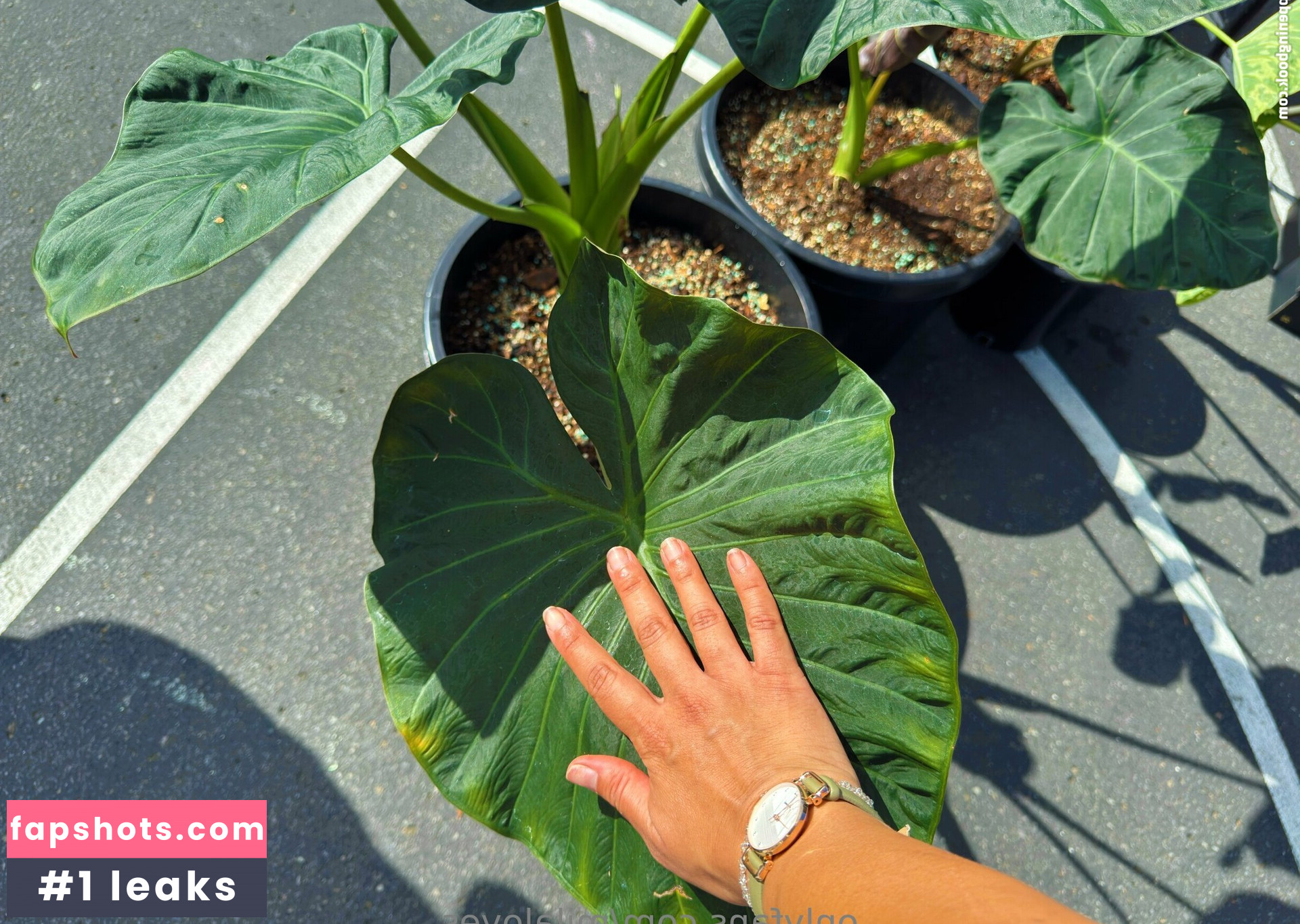 milaloves gallery photo #15