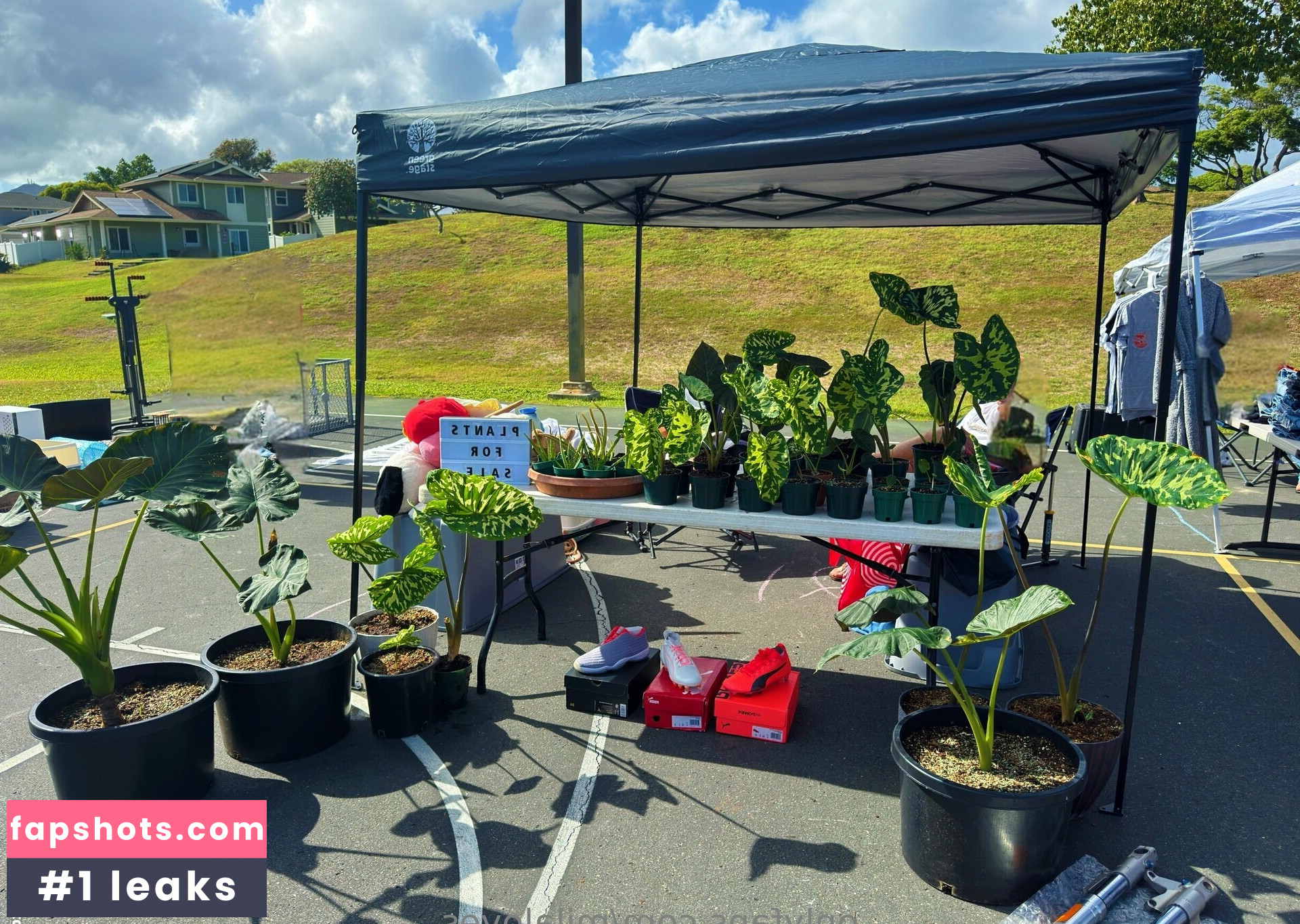 milaloves gallery photo #21